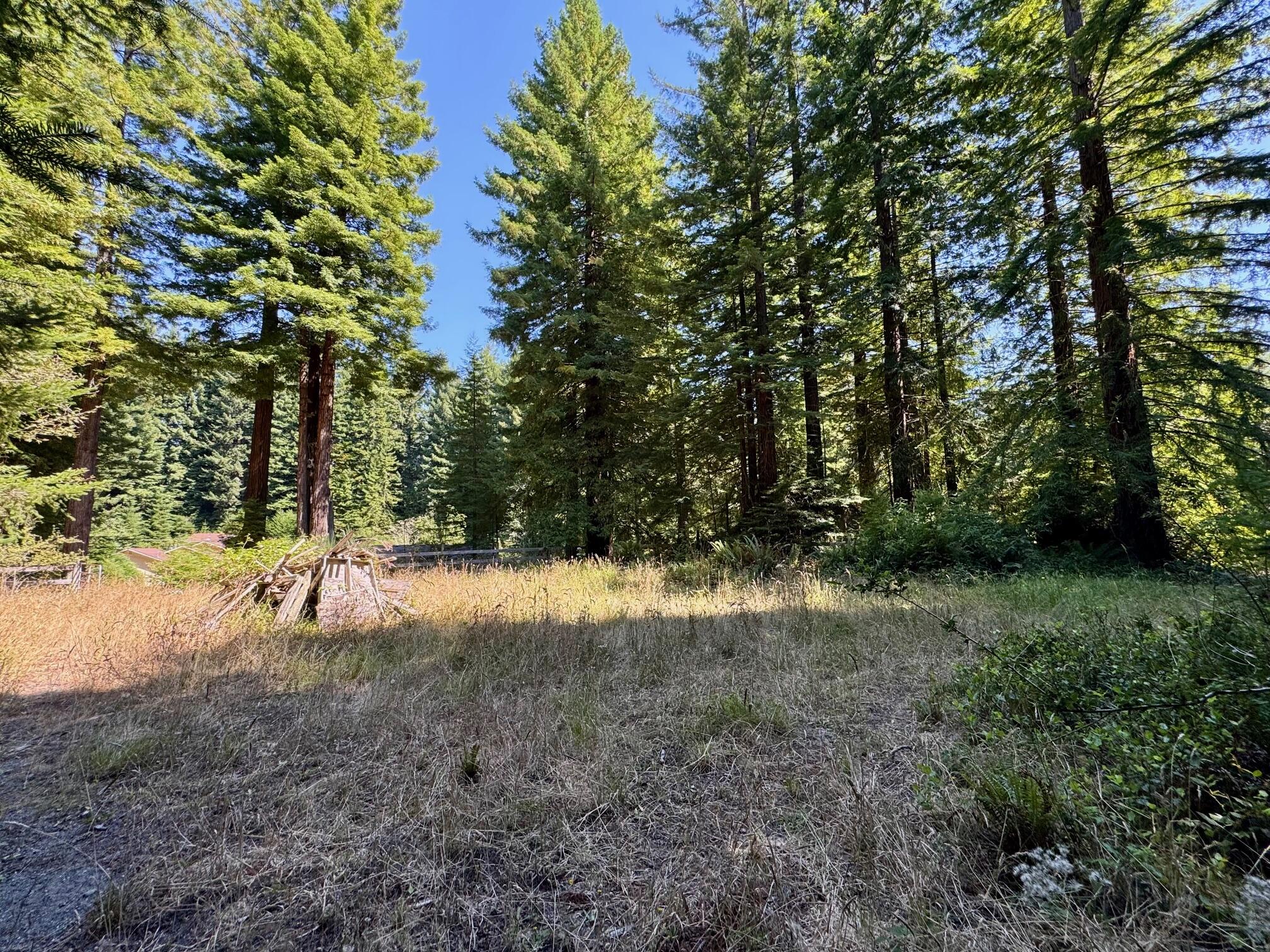 3639 Greenwood Heights Drive