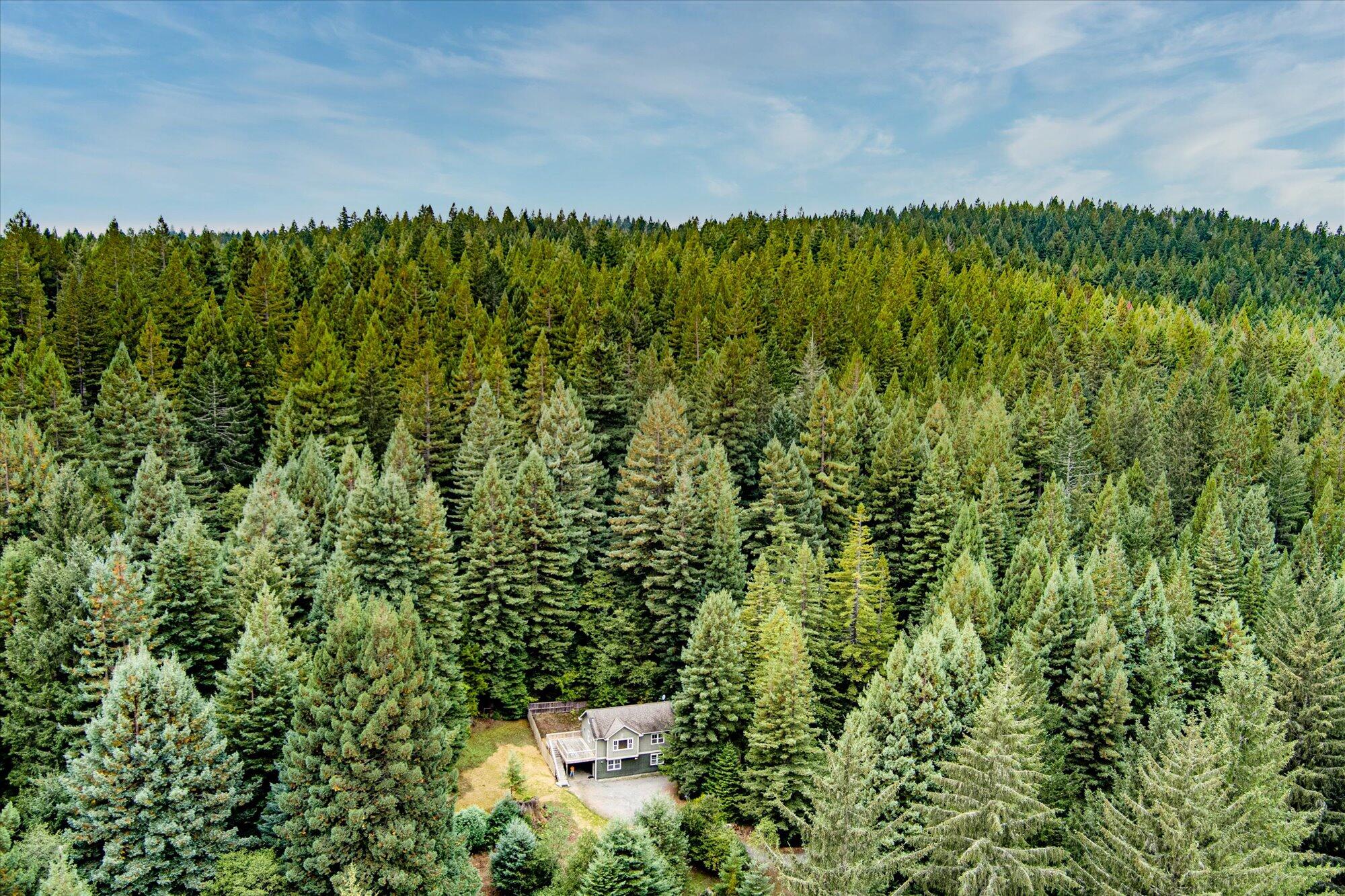 3924 Old Railroad Grade Road