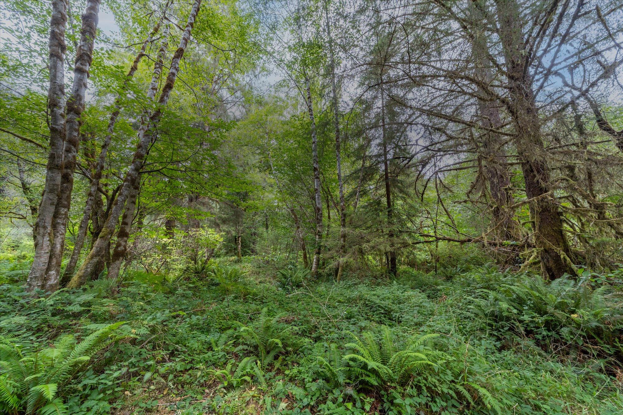 3924 Old Railroad Grade Road