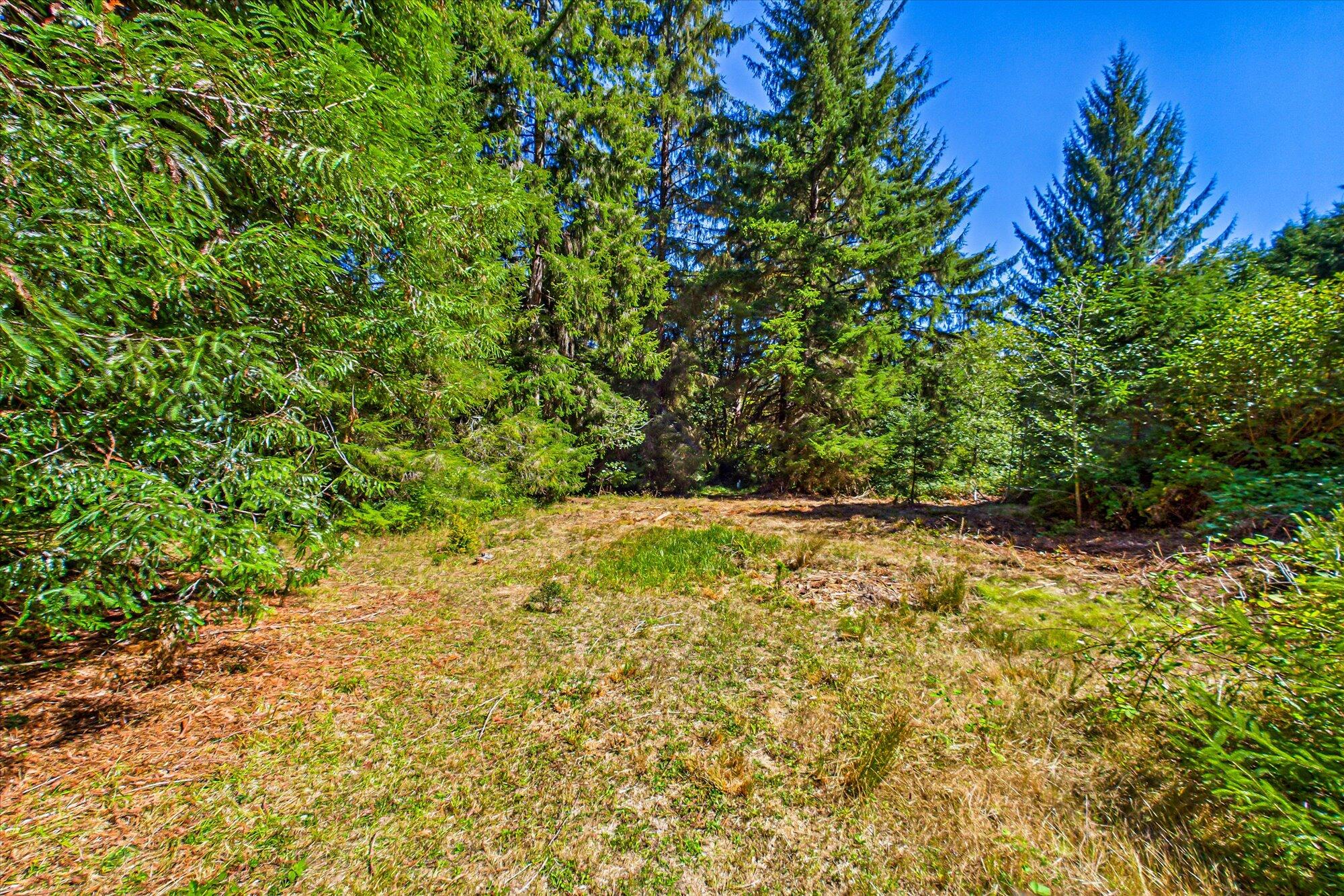 3924 Old Railroad Grade Road