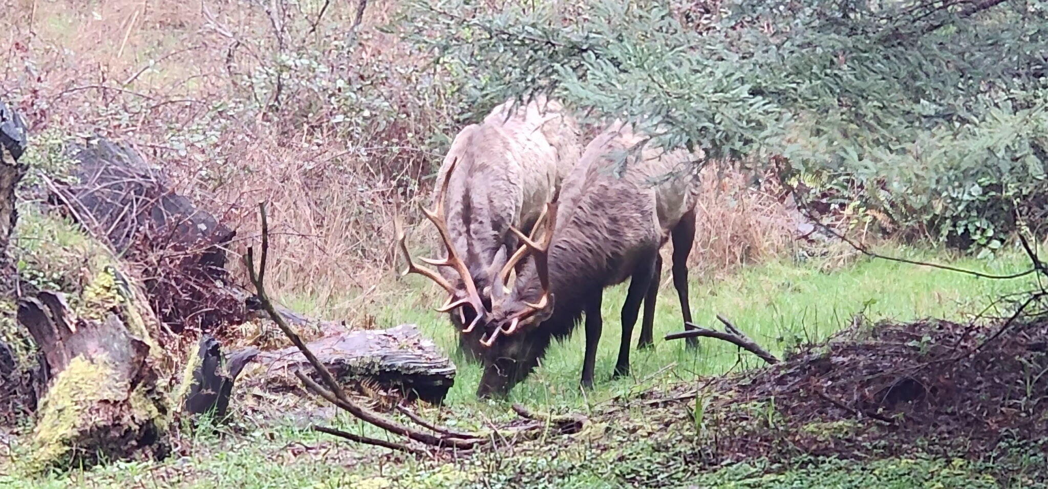 3924 Old Railroad Grade Road