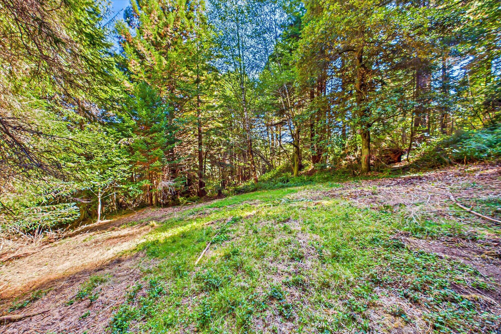 3924 Old Railroad Grade Road