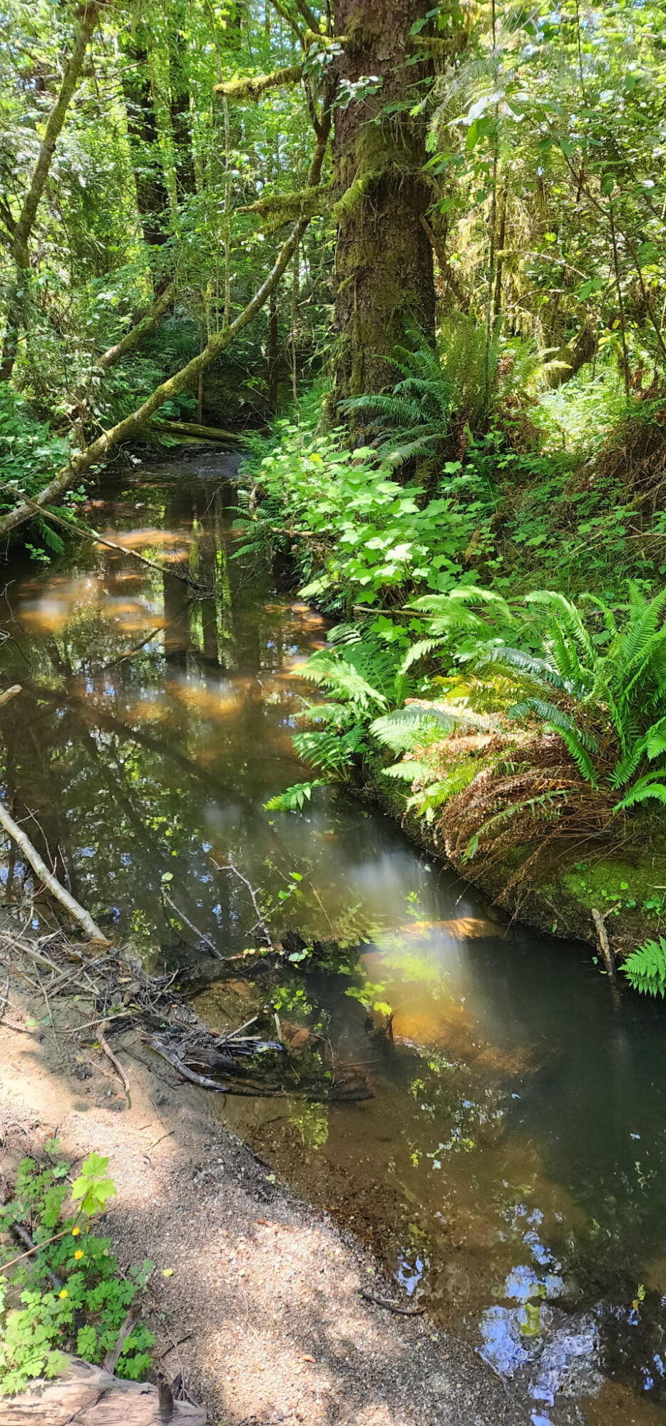 3924 Old Railroad Grade Road