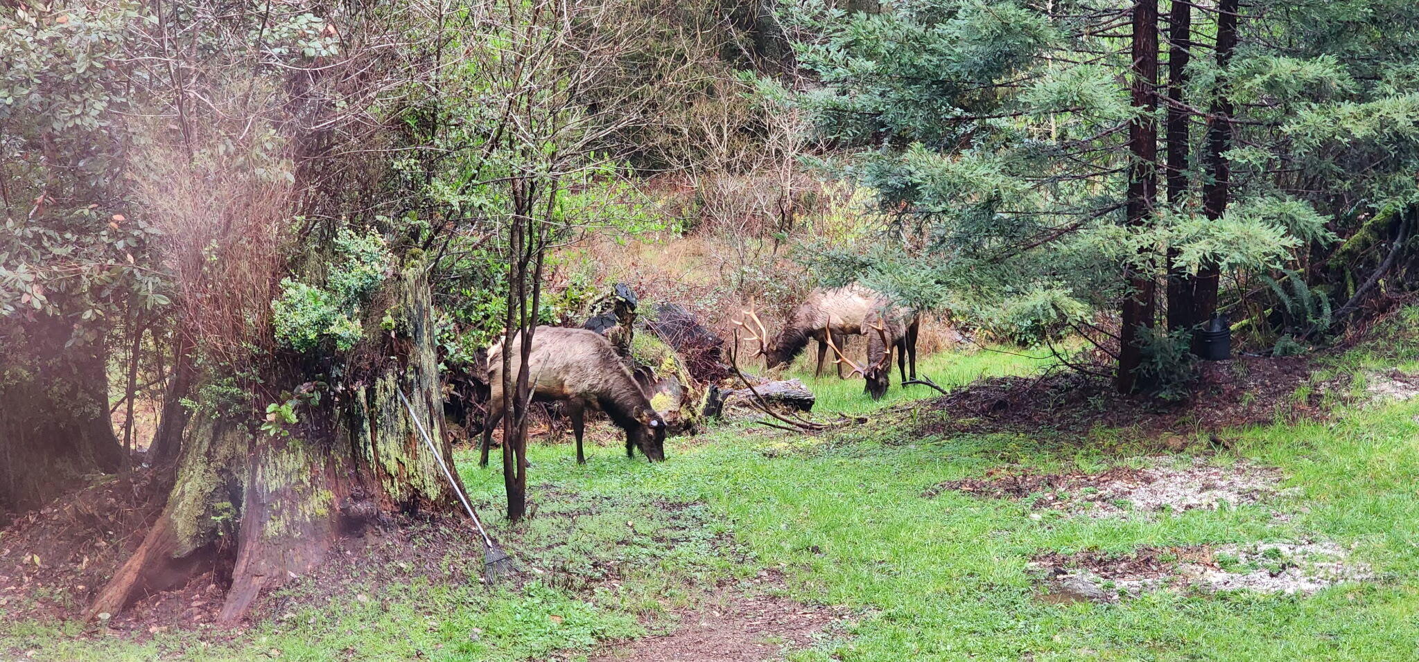 3924 Old Railroad Grade Road