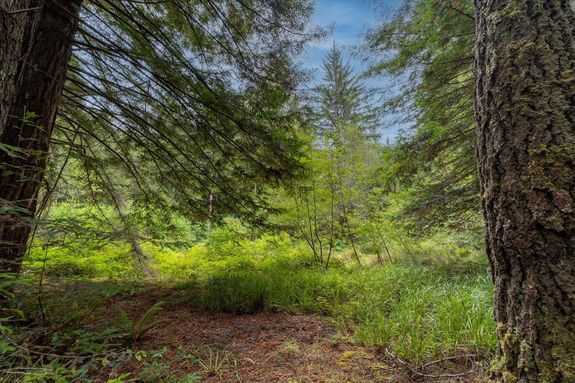 3924 Old Railroad Grade Road