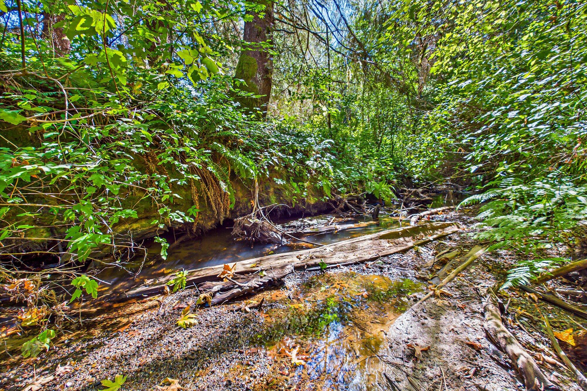 3924 Old Railroad Grade Road