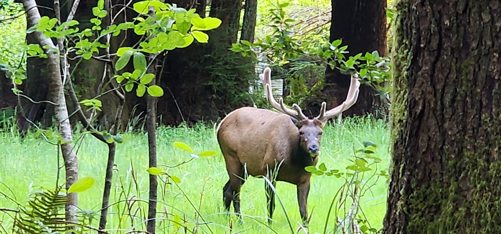 3924 Old Railroad Grade Road