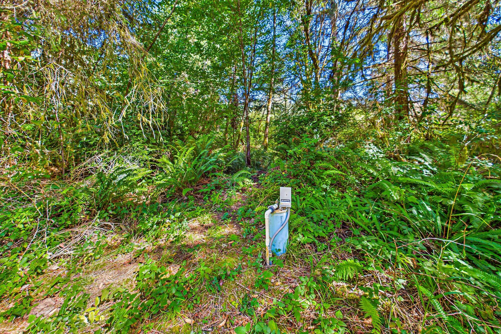 3924 Old Railroad Grade Road