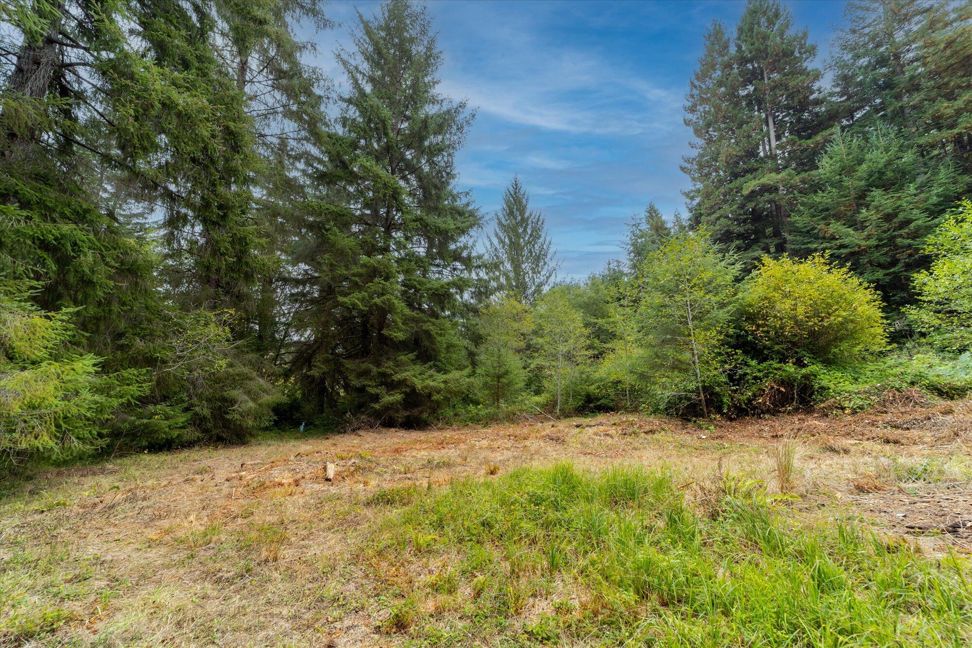 3924 Old Railroad Grade Road