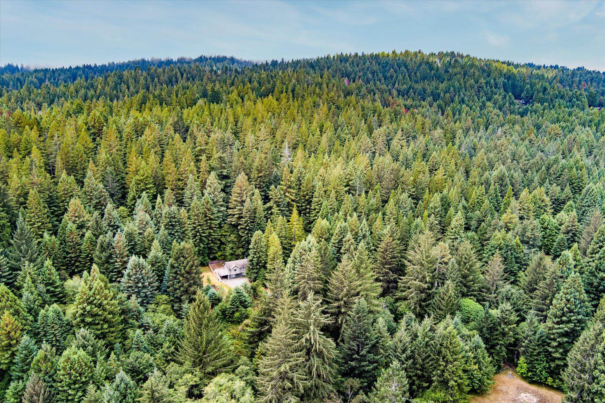 3924 Old Railroad Grade Road