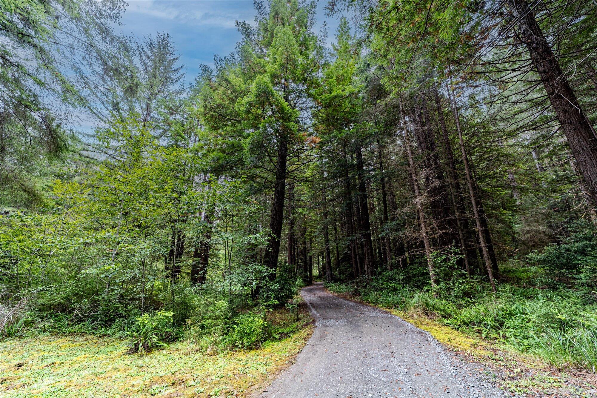 3924 Old Railroad Grade Road