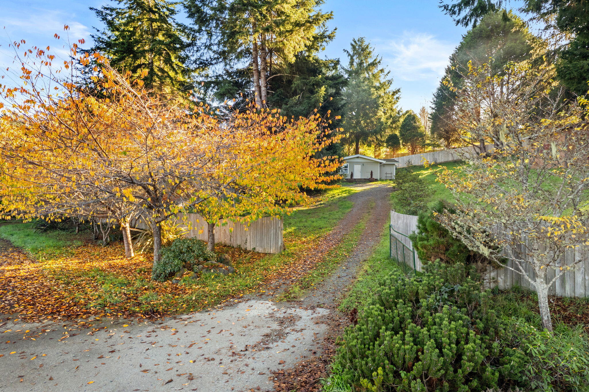2616 Visser Court, McKinleyville