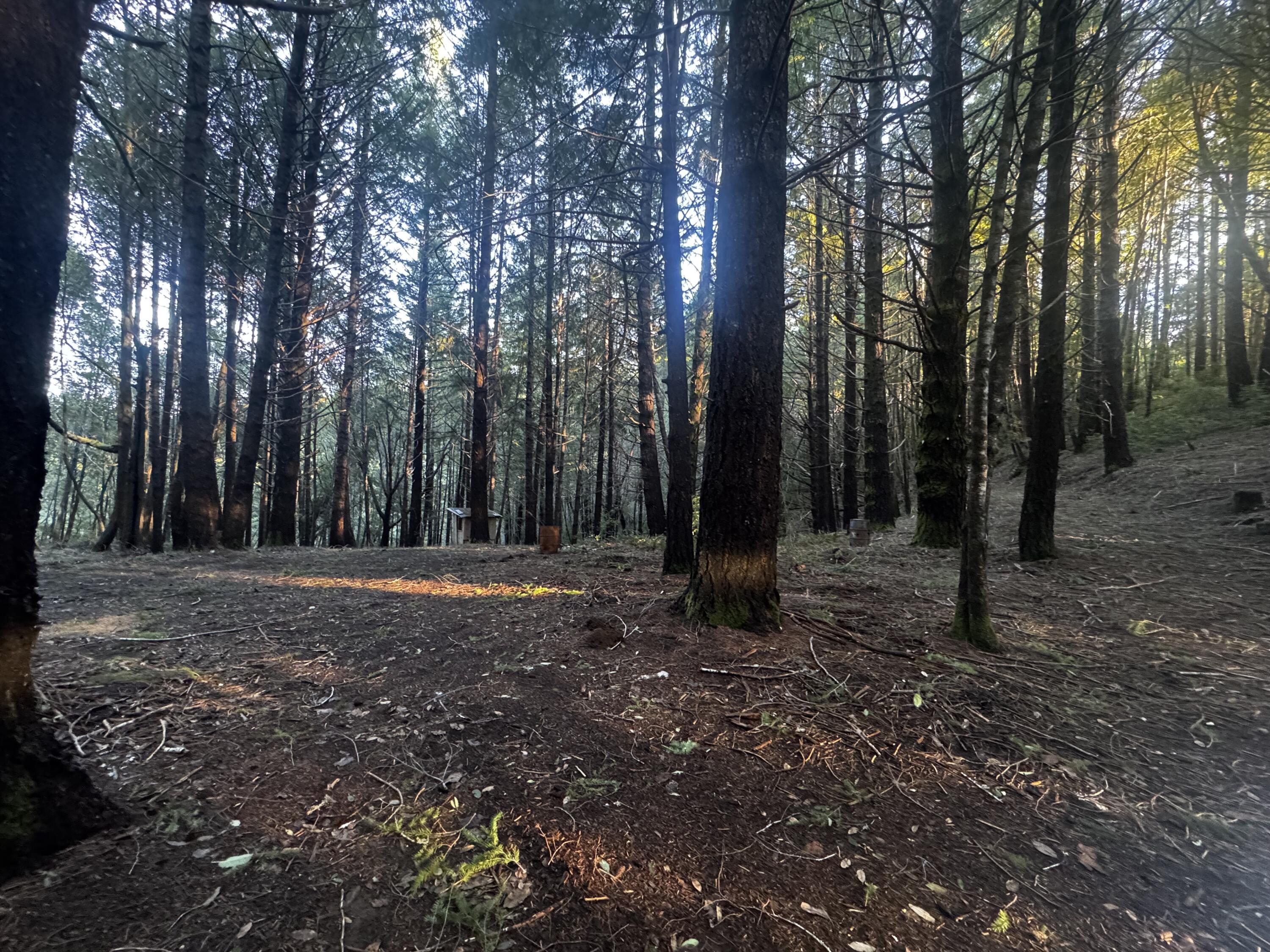 +/-72 Acre Goodman Ranch Road