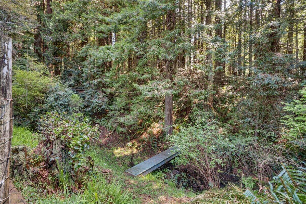 3253 Greenwood Heights Drive