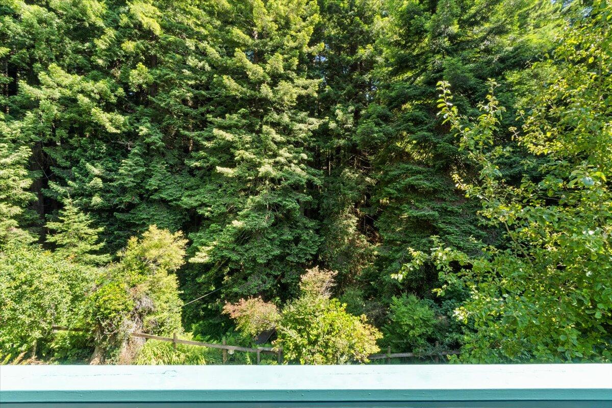 3253 Greenwood Heights Drive