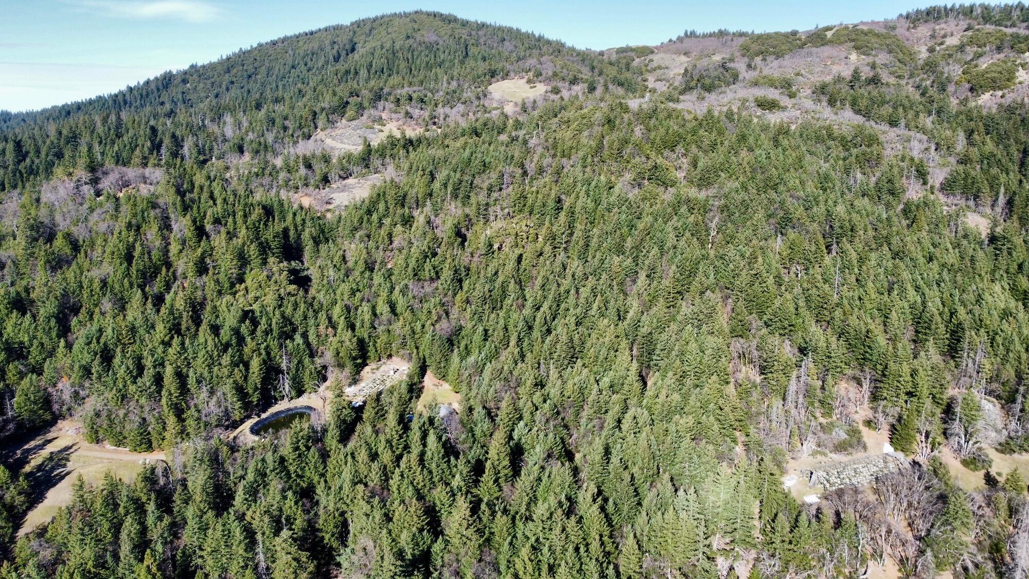 5735 Forest Route 1n08 Road