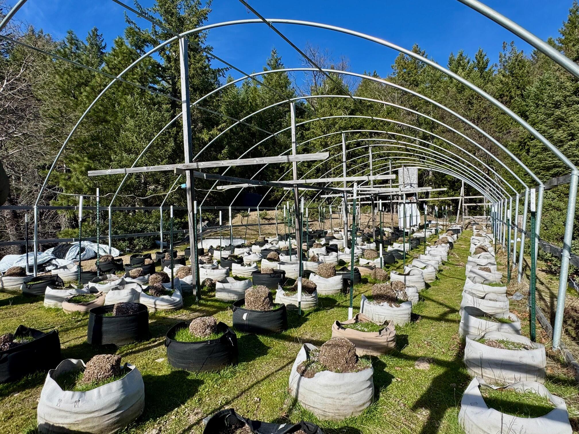 5735 Forest Route 1n08 Road