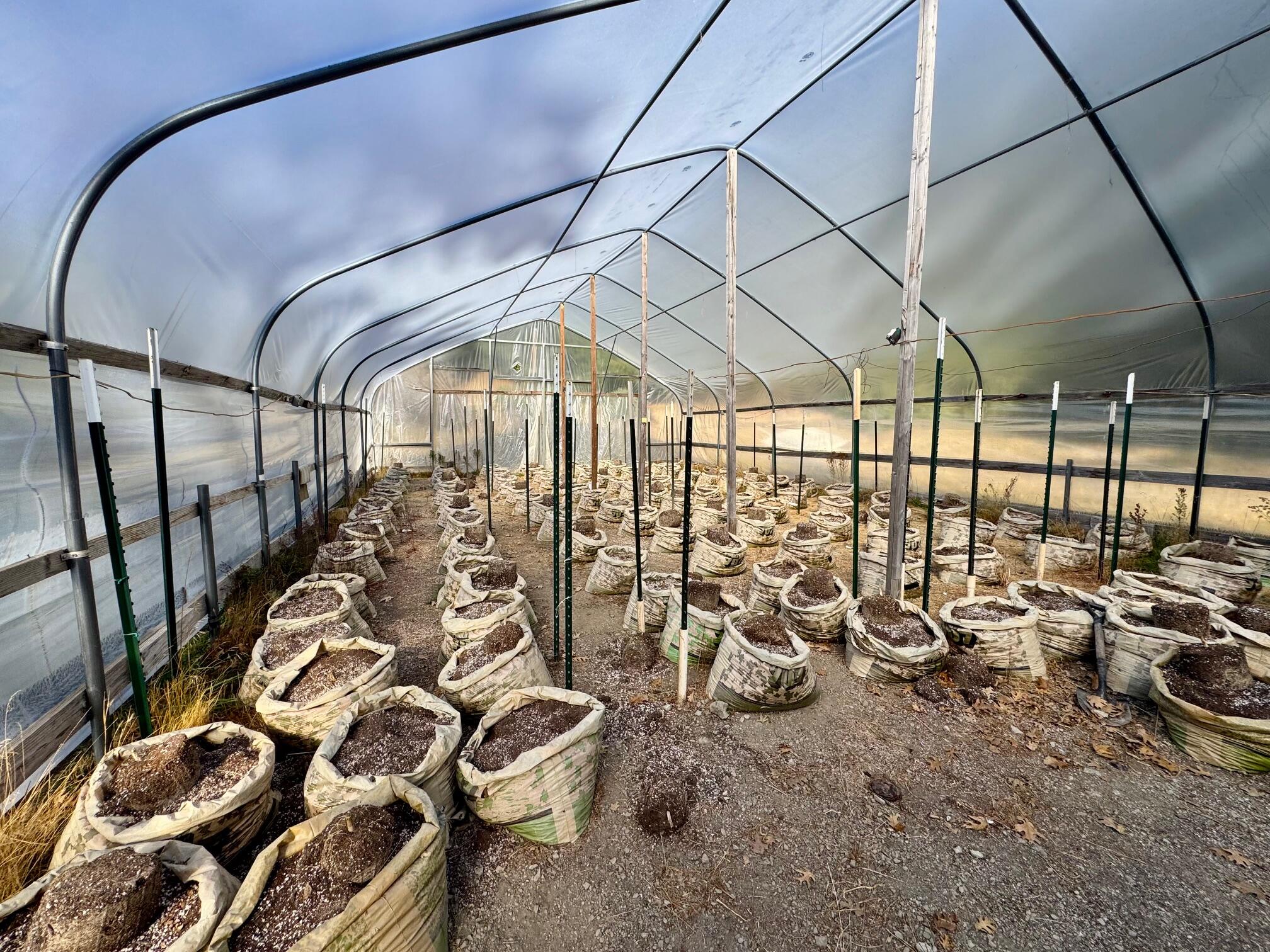 5735 Forest Route 1n08 Road