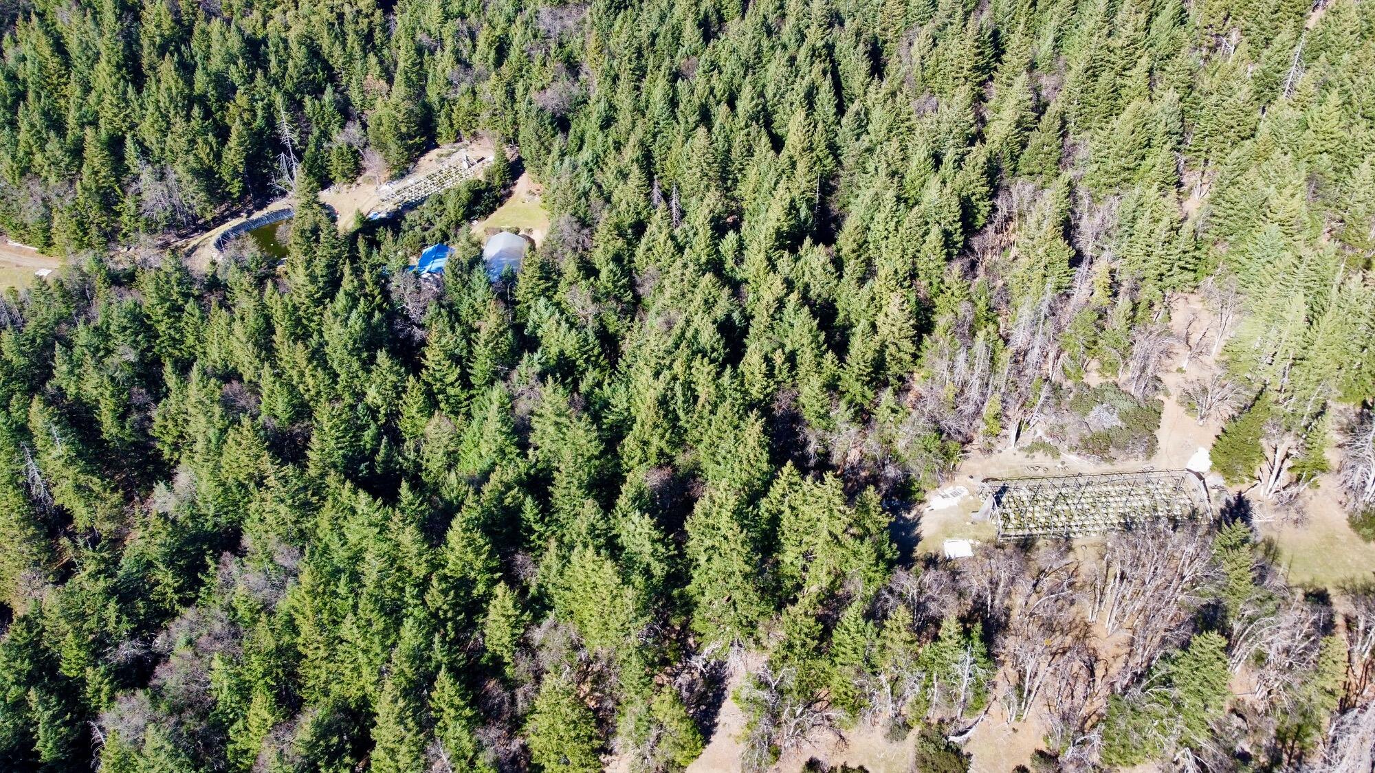 5735 Forest Route 1n08 Road