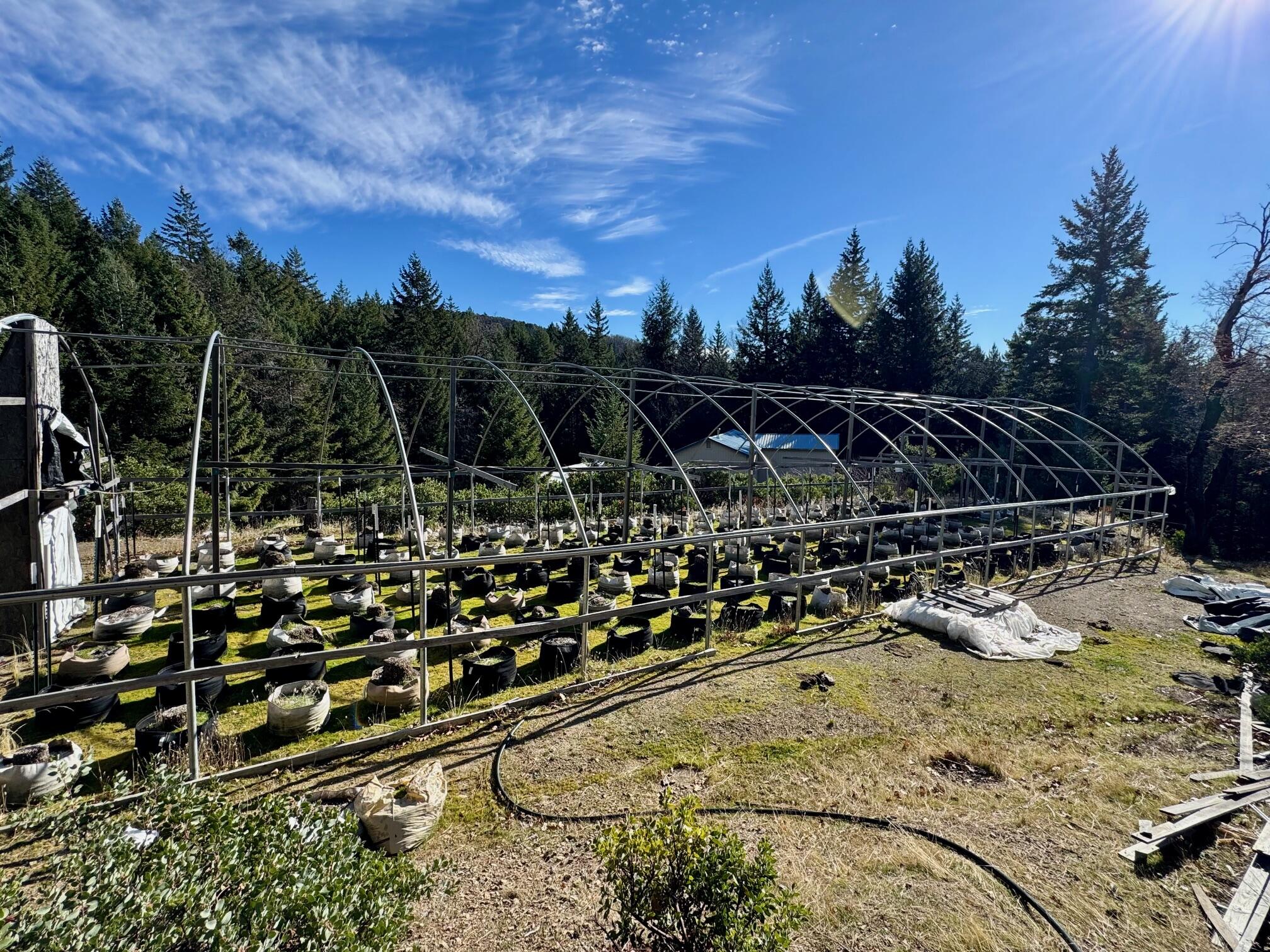 5735 Forest Route 1n08 Road