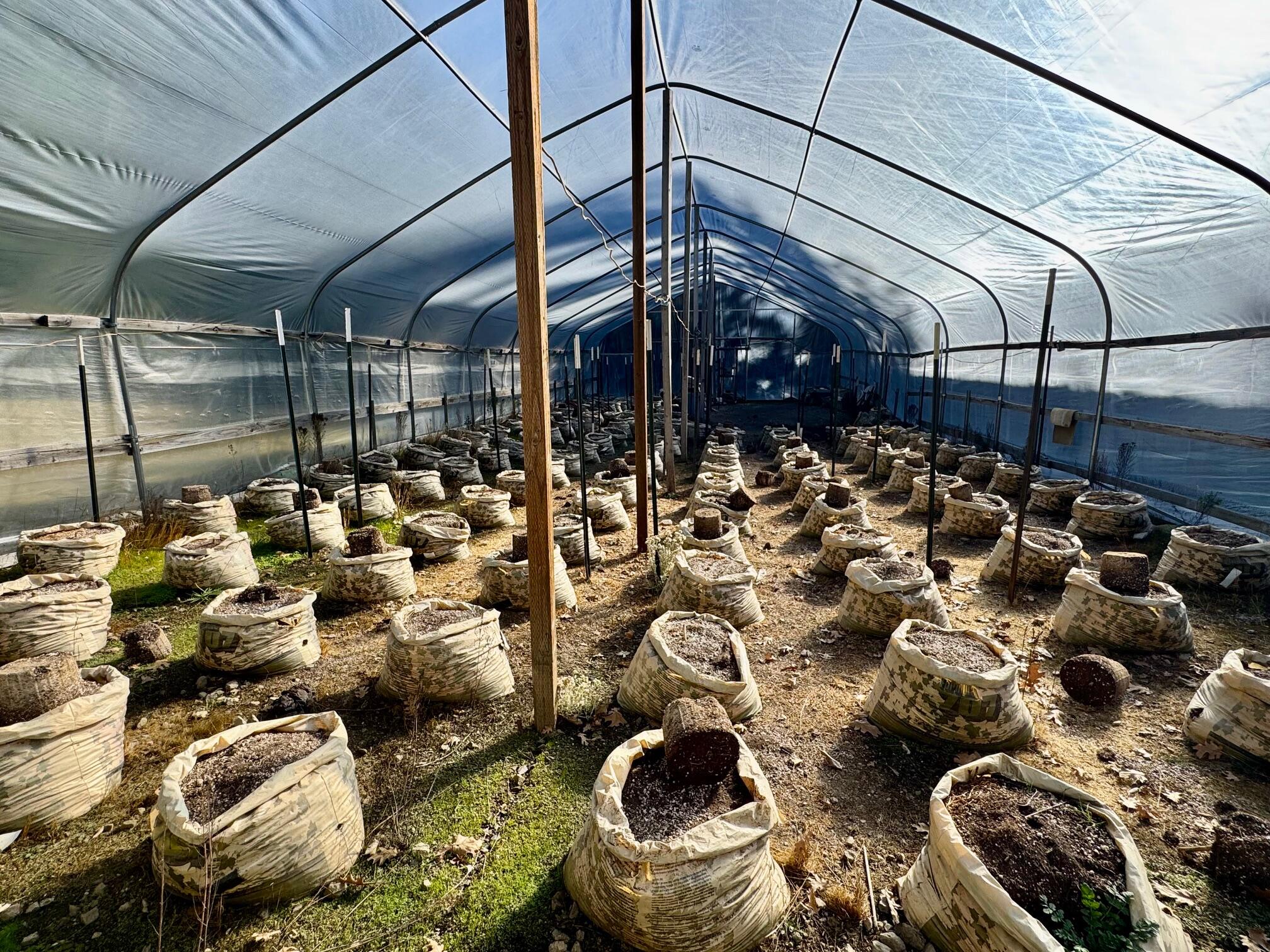 5735 Forest Route 1n08 Road