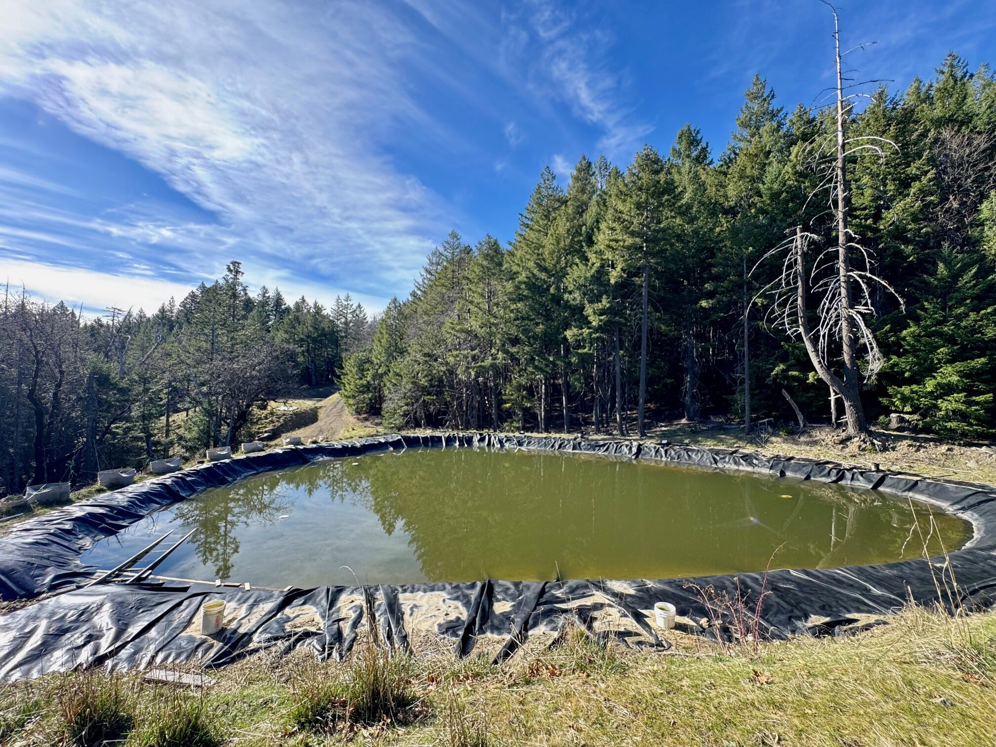 5735 Forest Route 1n08 Road