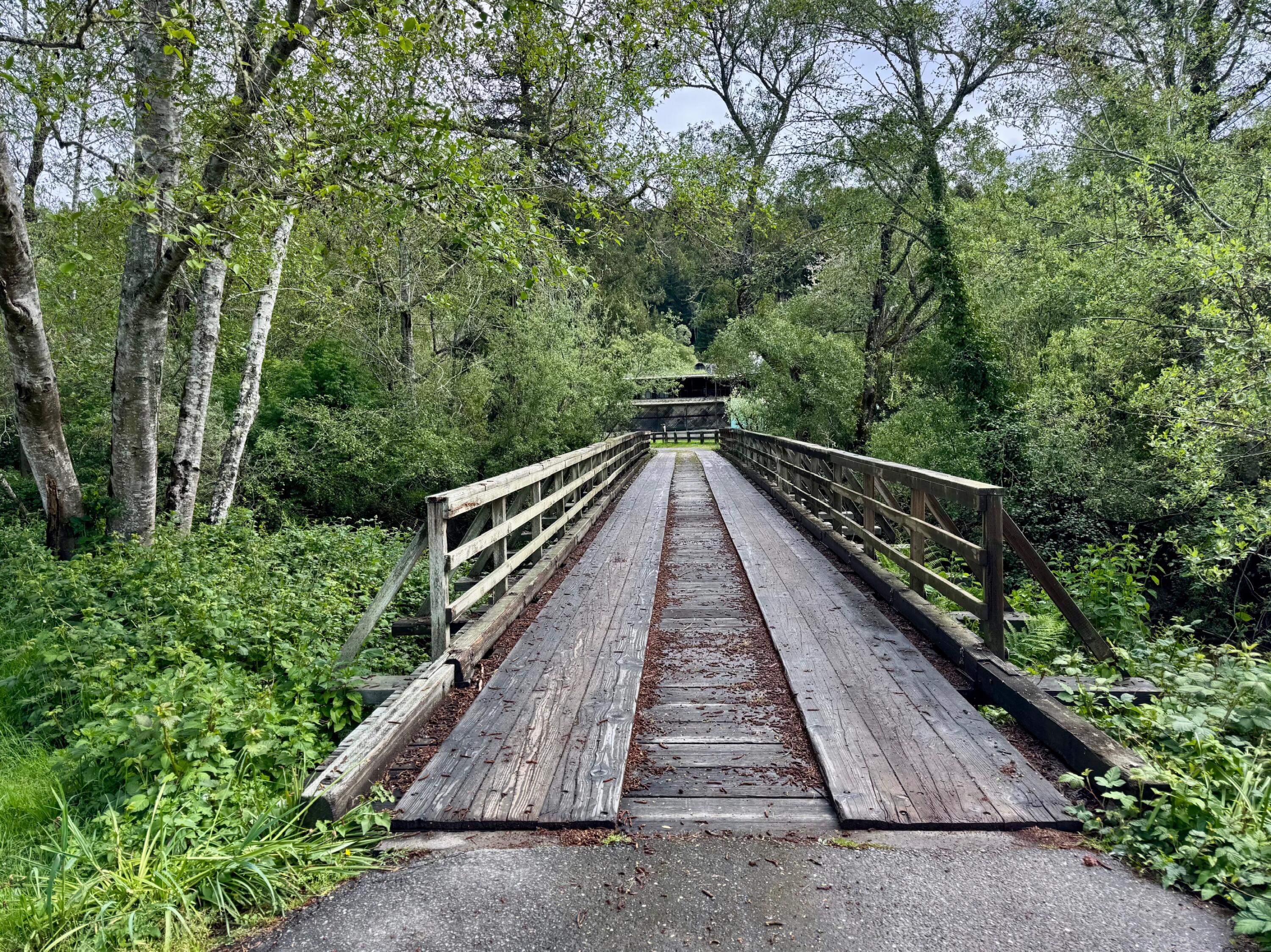 7546 Elk River Court