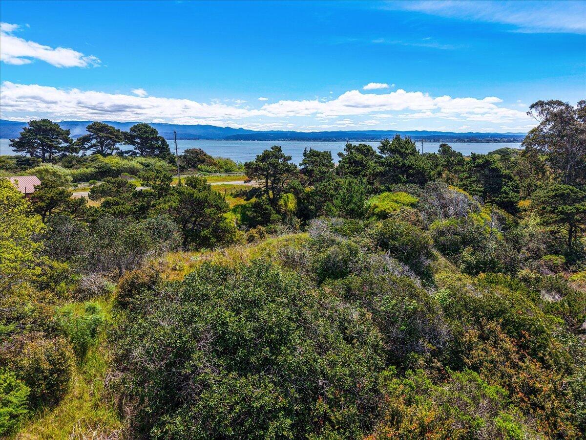 0000 Peninsula Drive