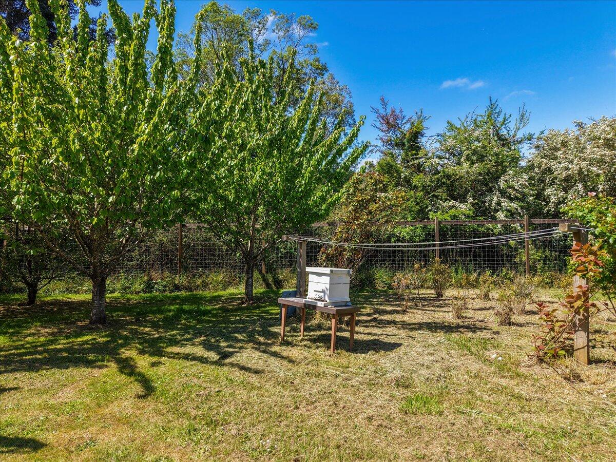 1960 Freshwater Road
