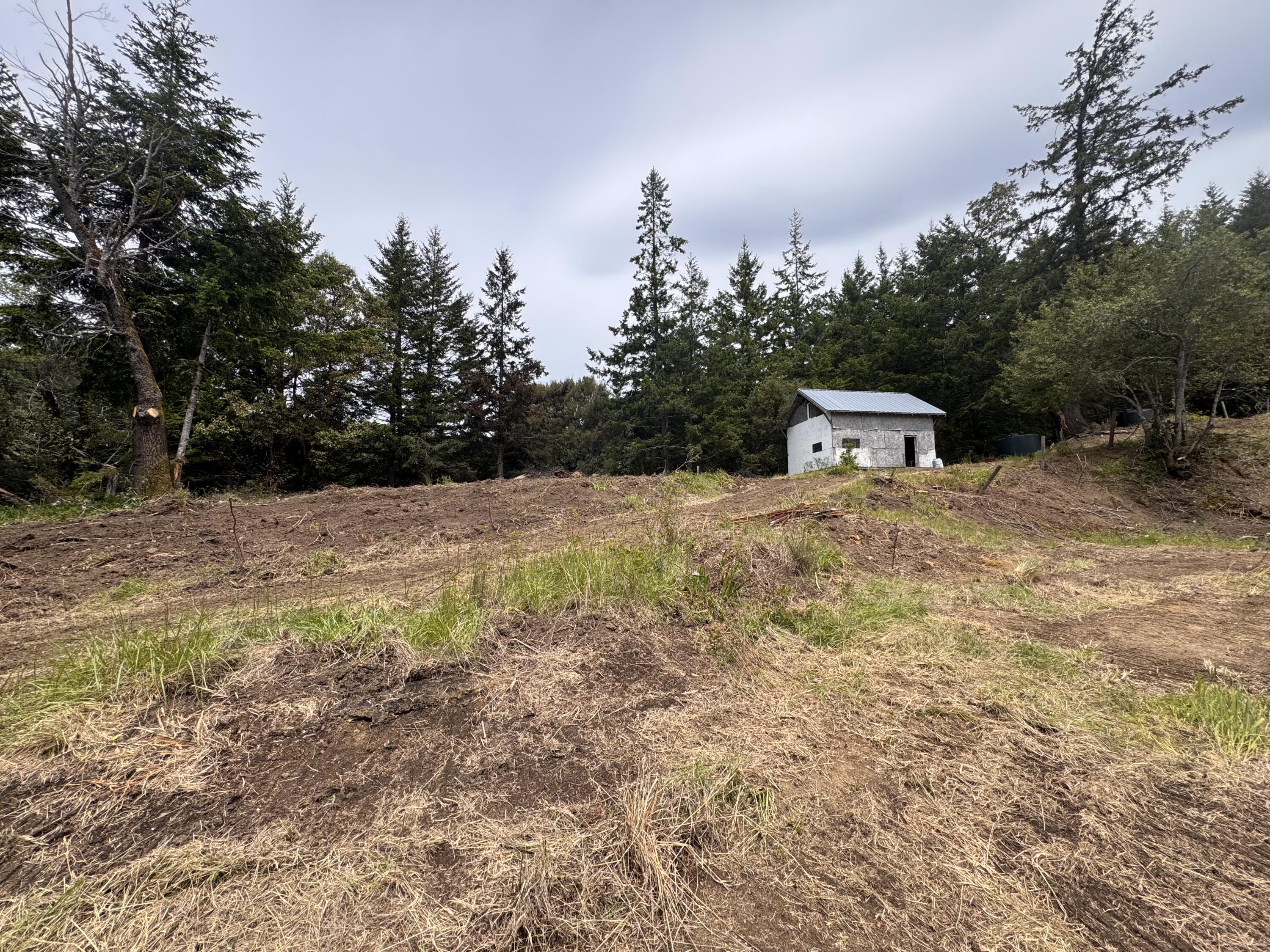 +/-80acres Conklin Creek Road