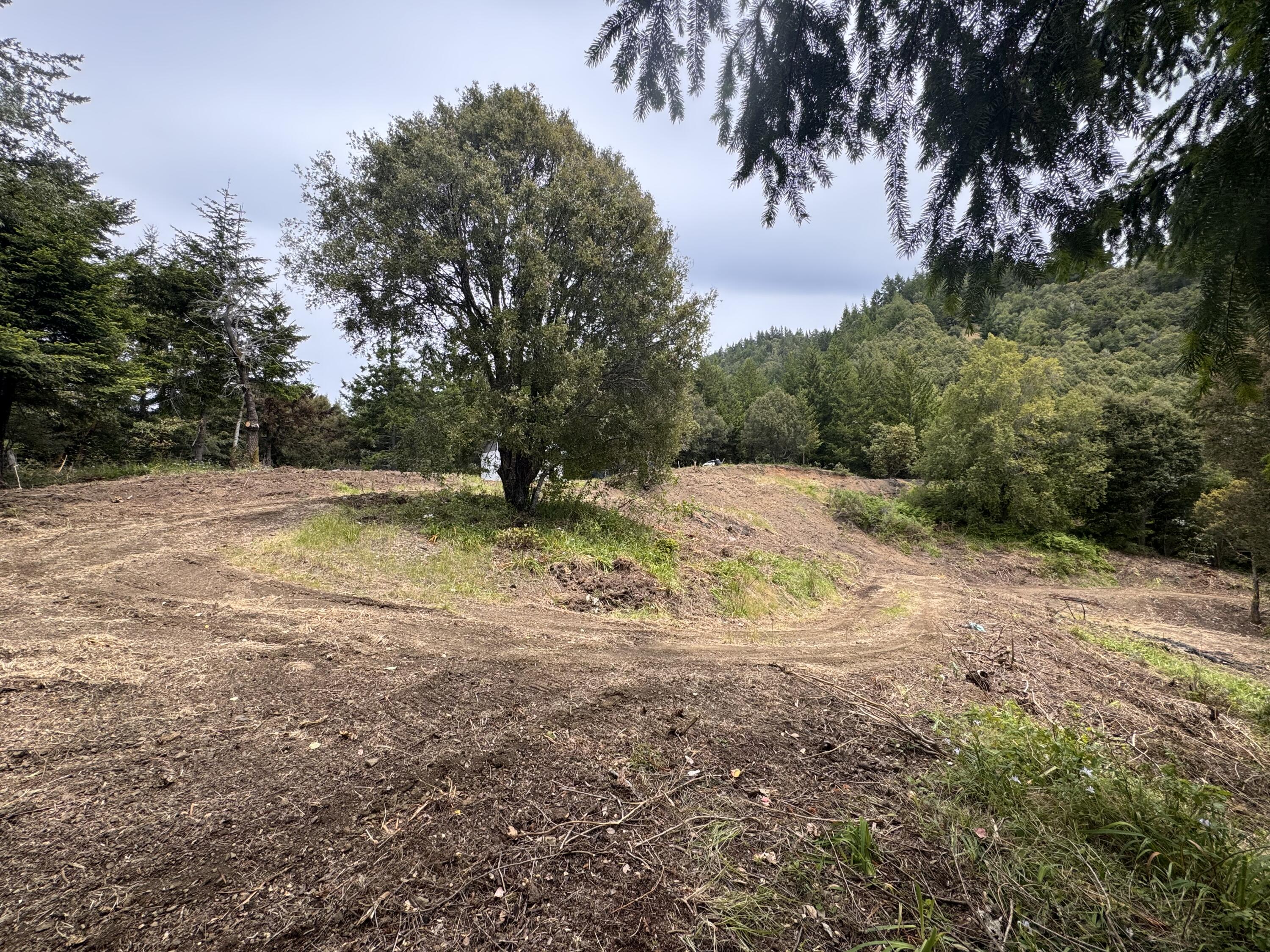 +/-80acres Conklin Creek Road