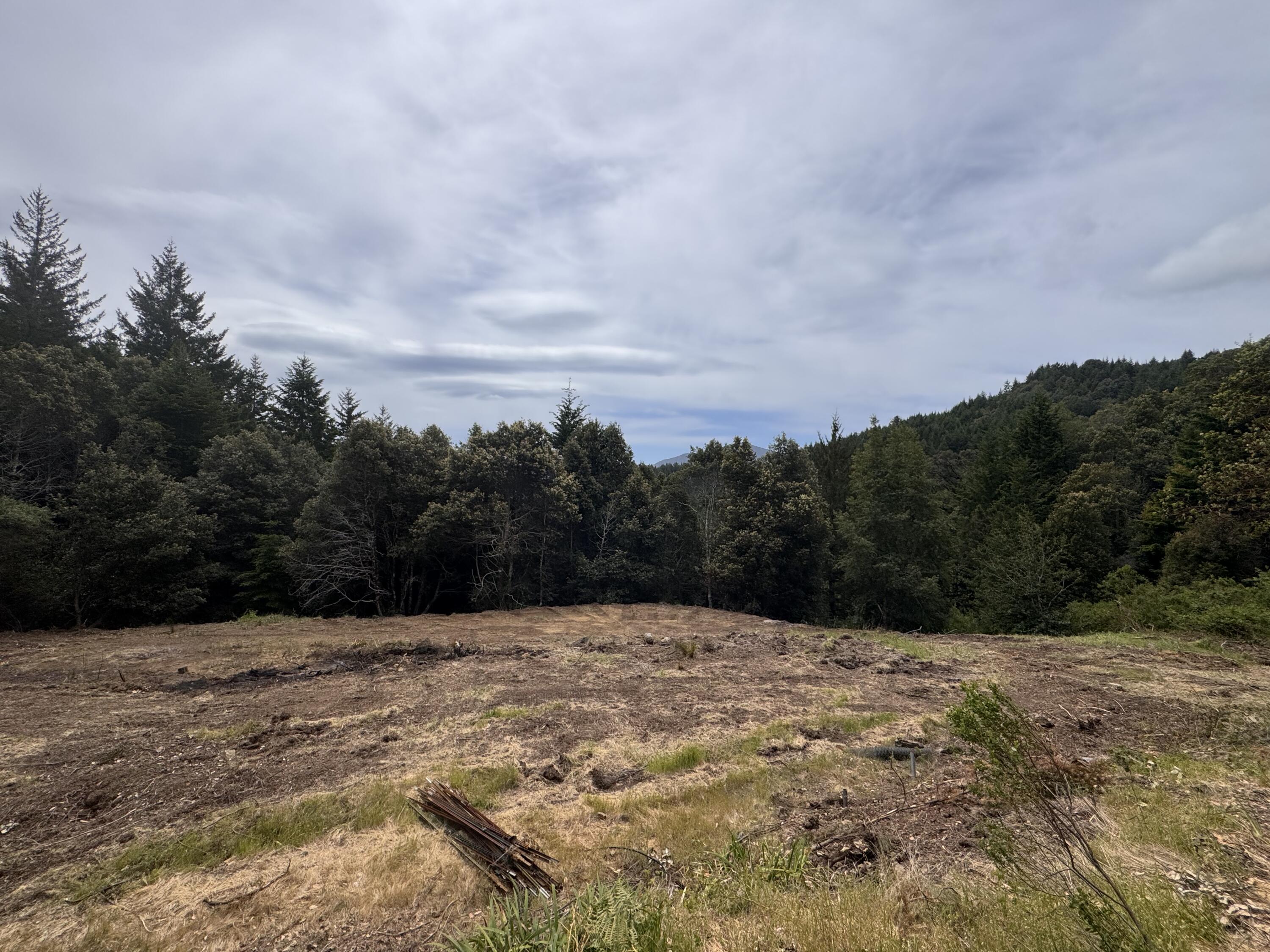 +/-80acres Conklin Creek Road