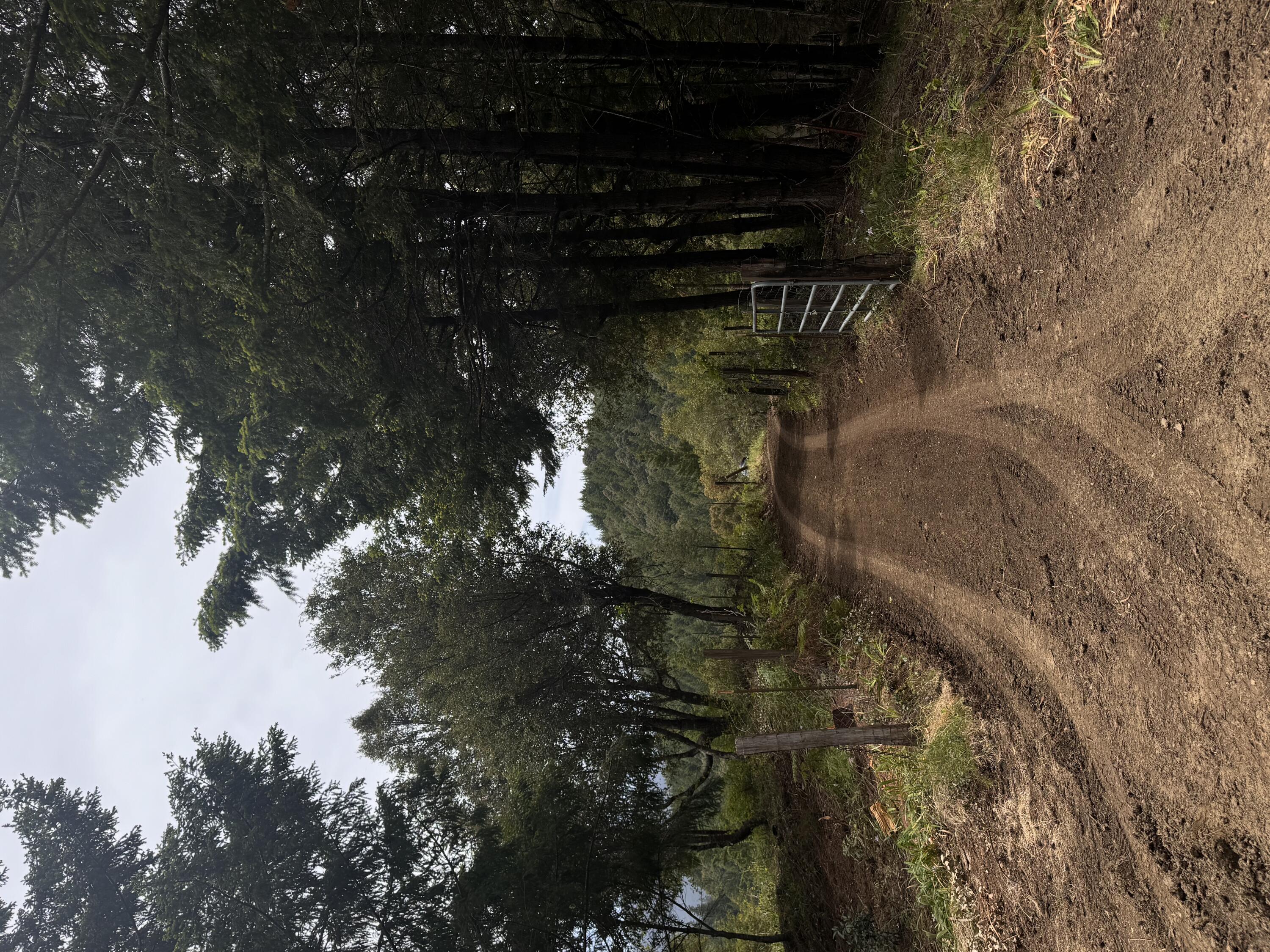 +/-80acres Conklin Creek Road