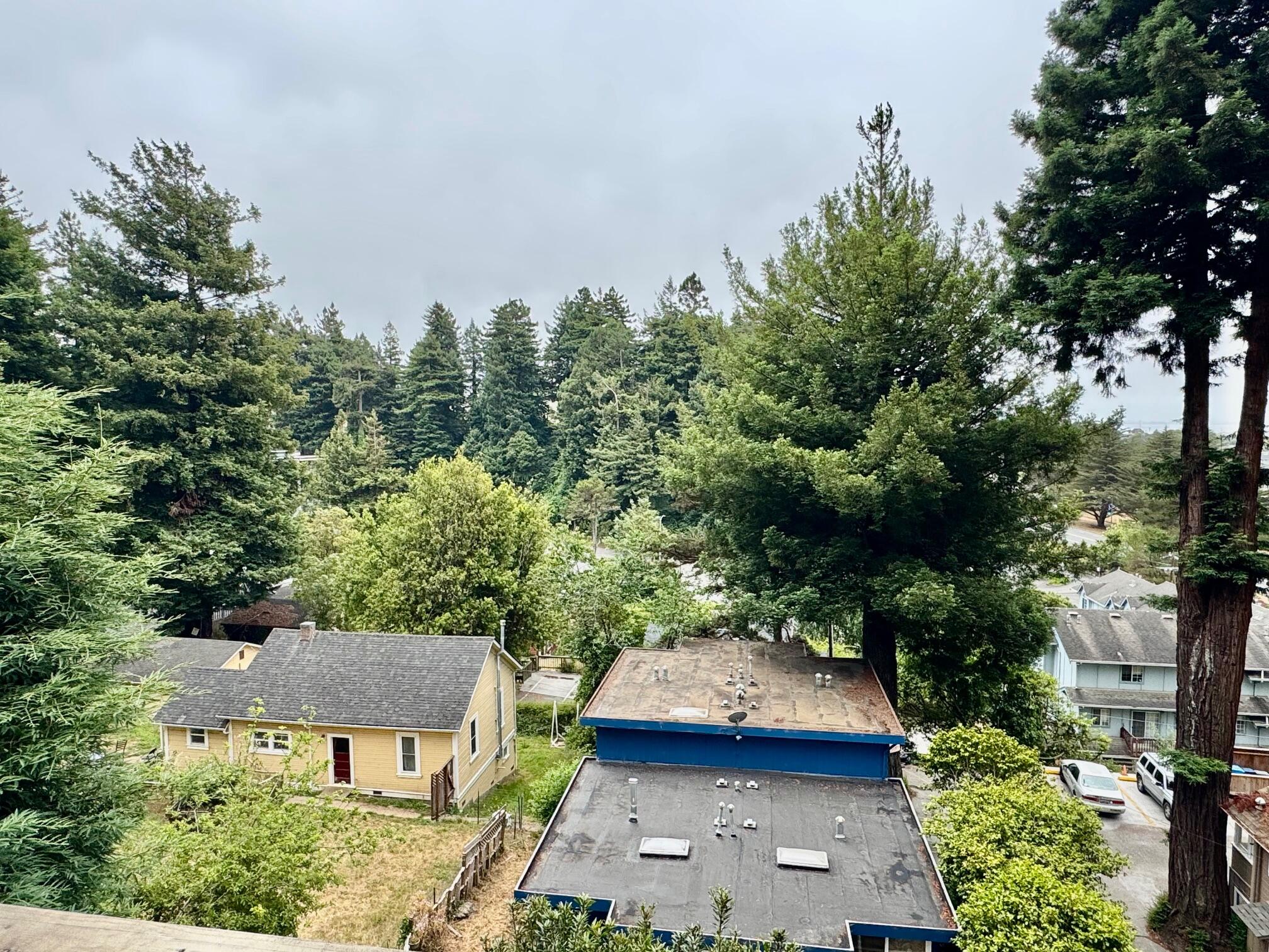 429 Evergreen Avenue