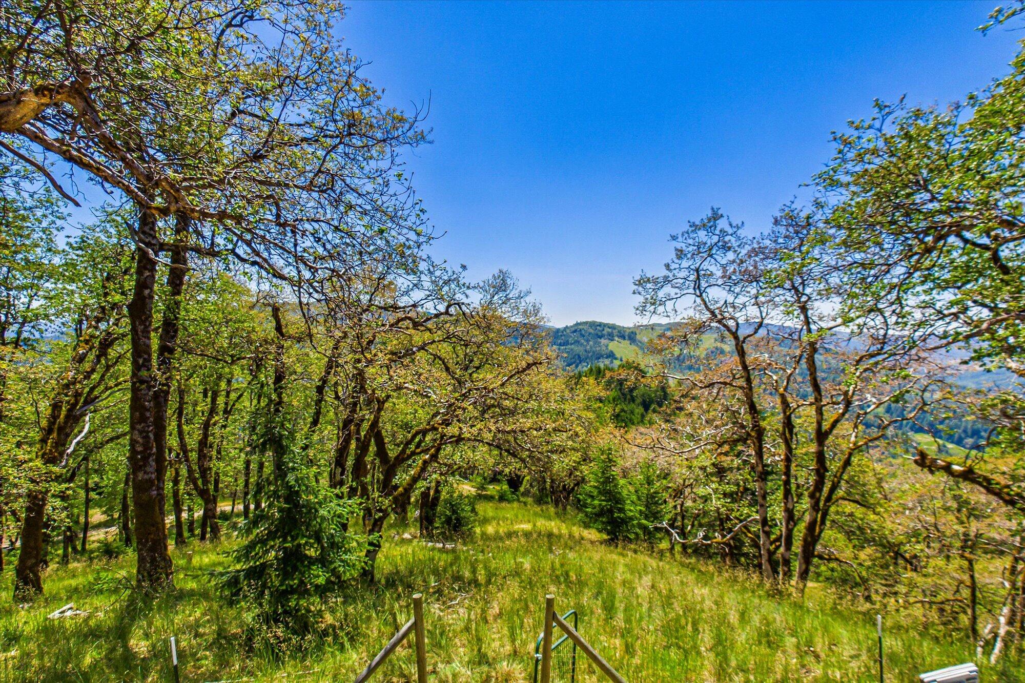 101 Gasline Road