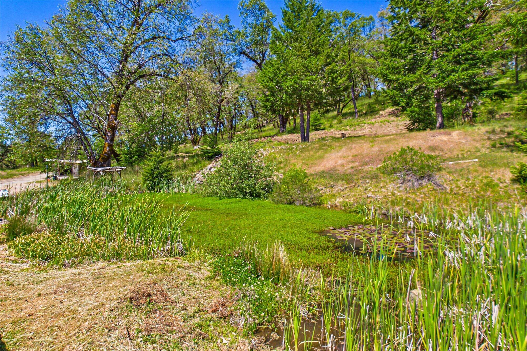 101 Gasline Road