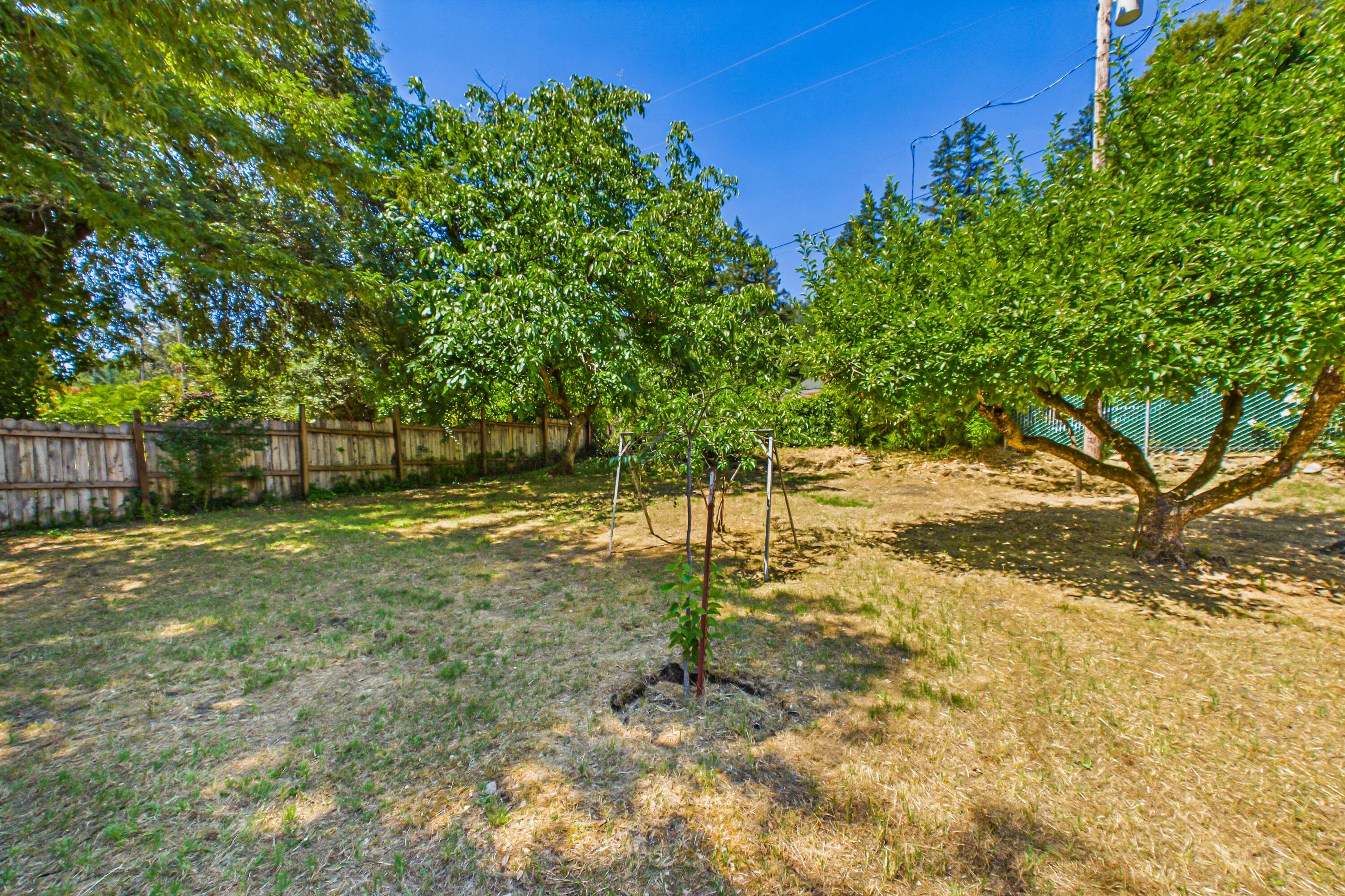 174 Blue Jay Lane