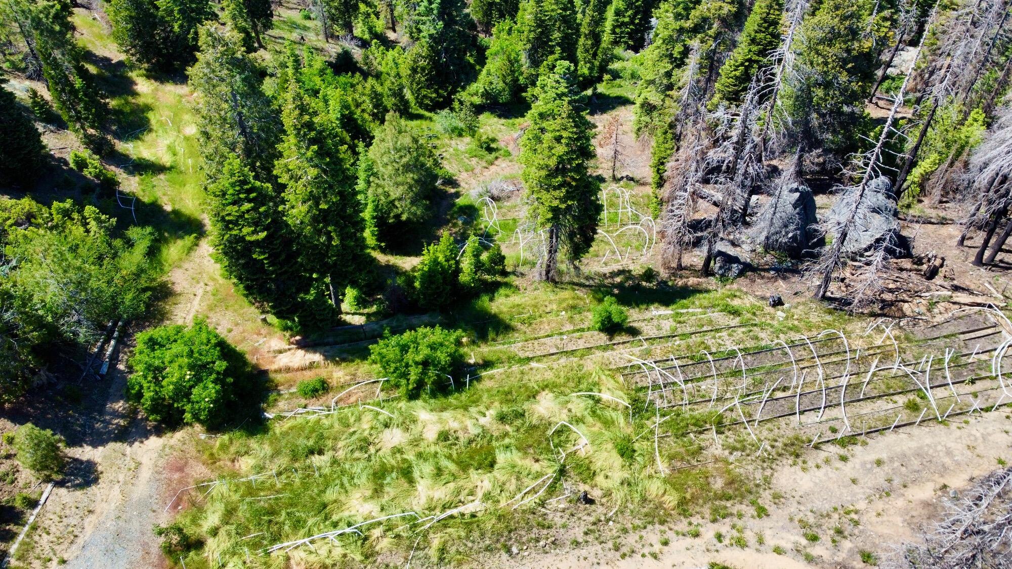 40 Acres Ammon Ridge Road