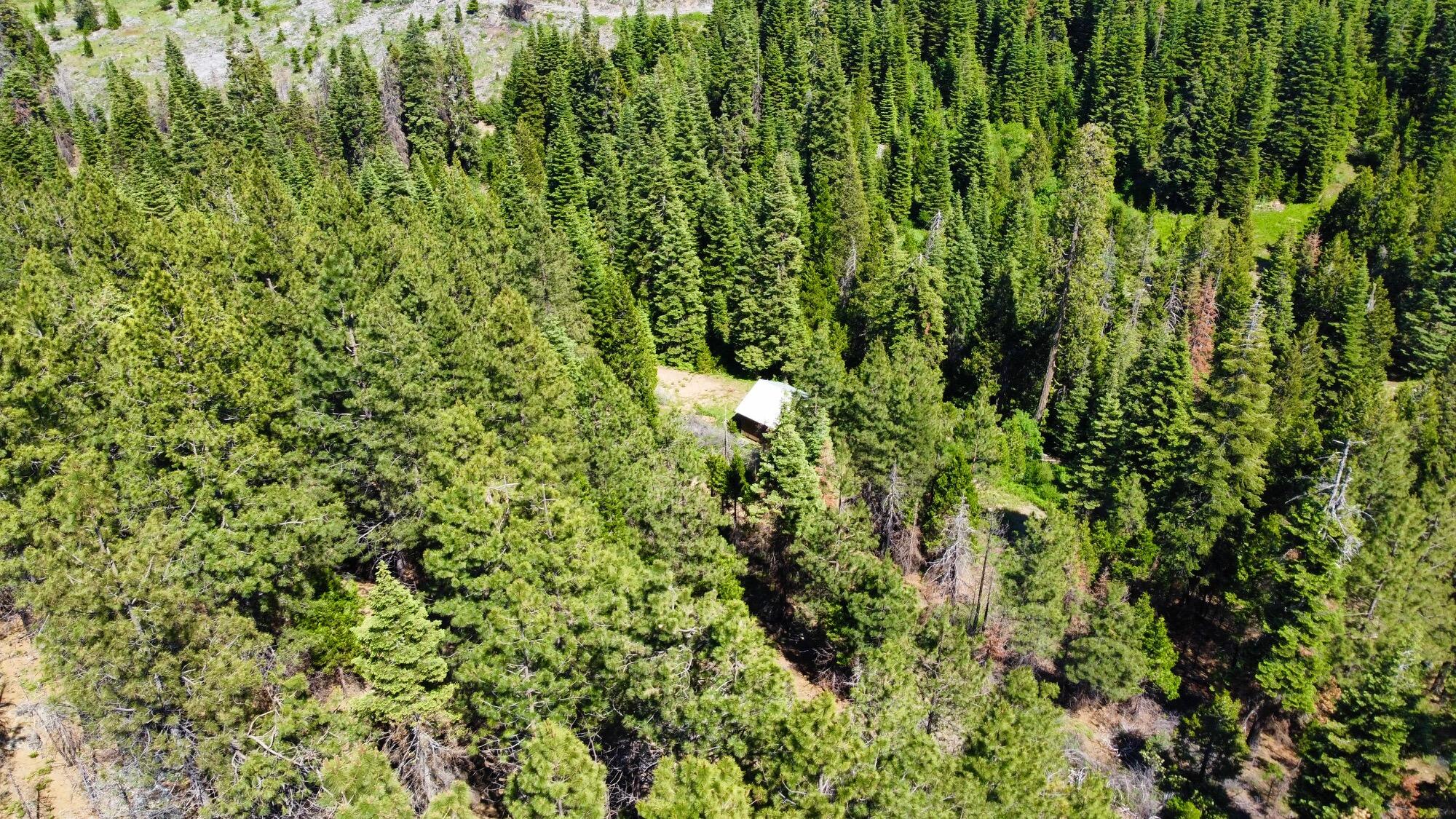 40 Acres Ammon Ridge Road
