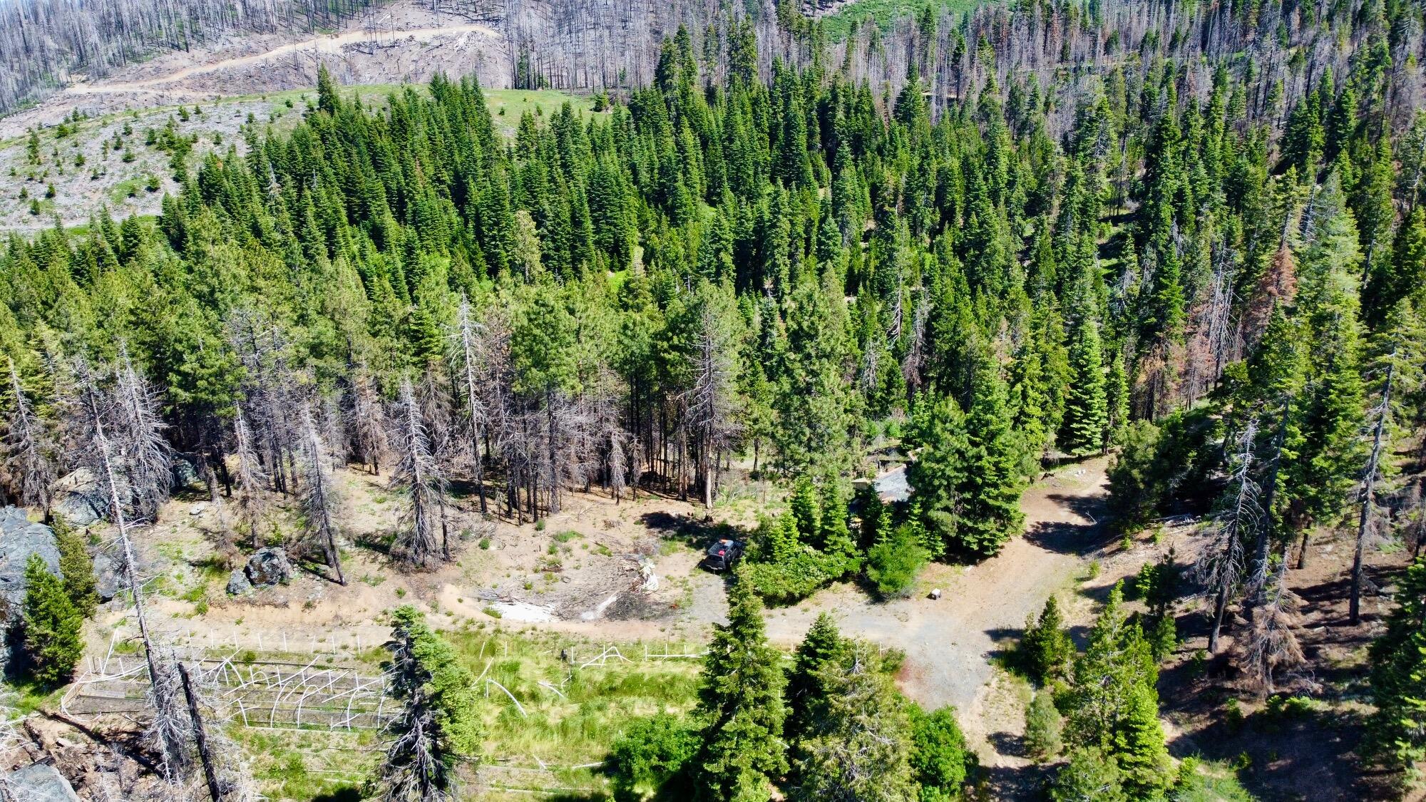 40 Acres Ammon Ridge Road