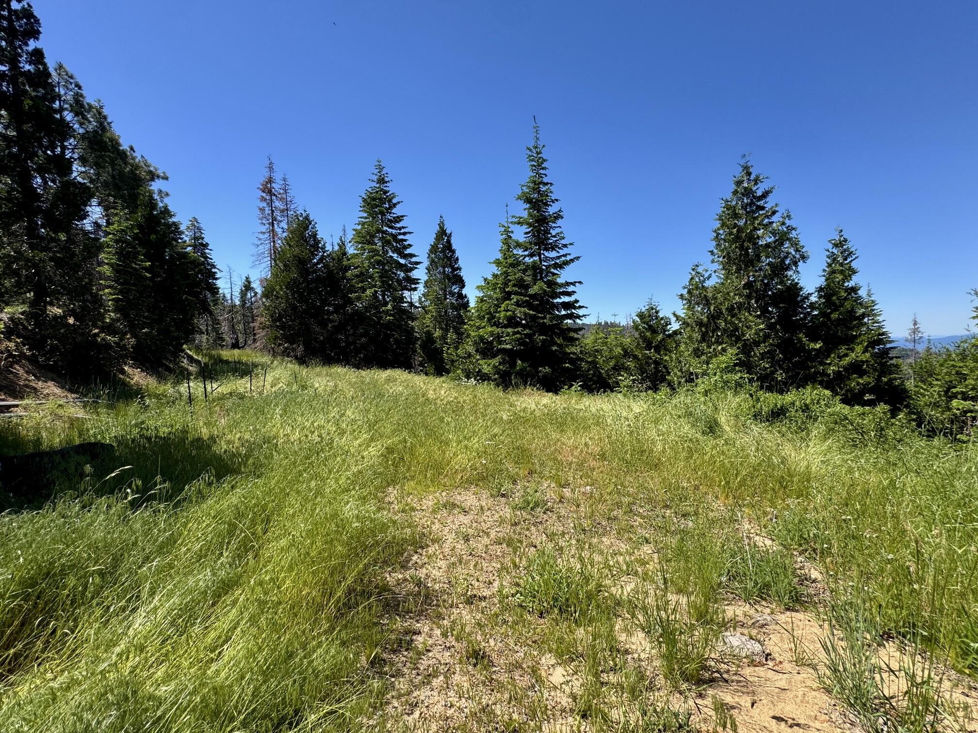 40 Acres Ammon Ridge Road