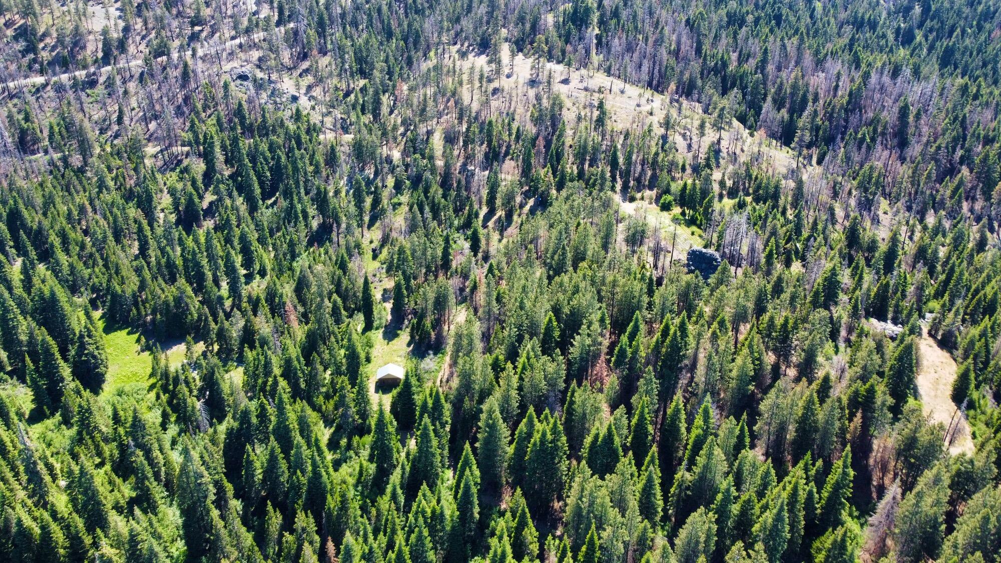 40 Acres Ammon Ridge Road