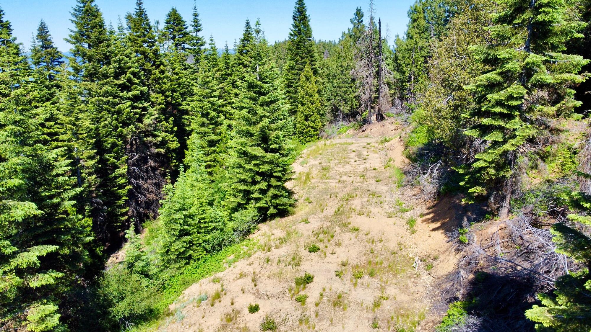 40 Acres Ammon Ridge Road