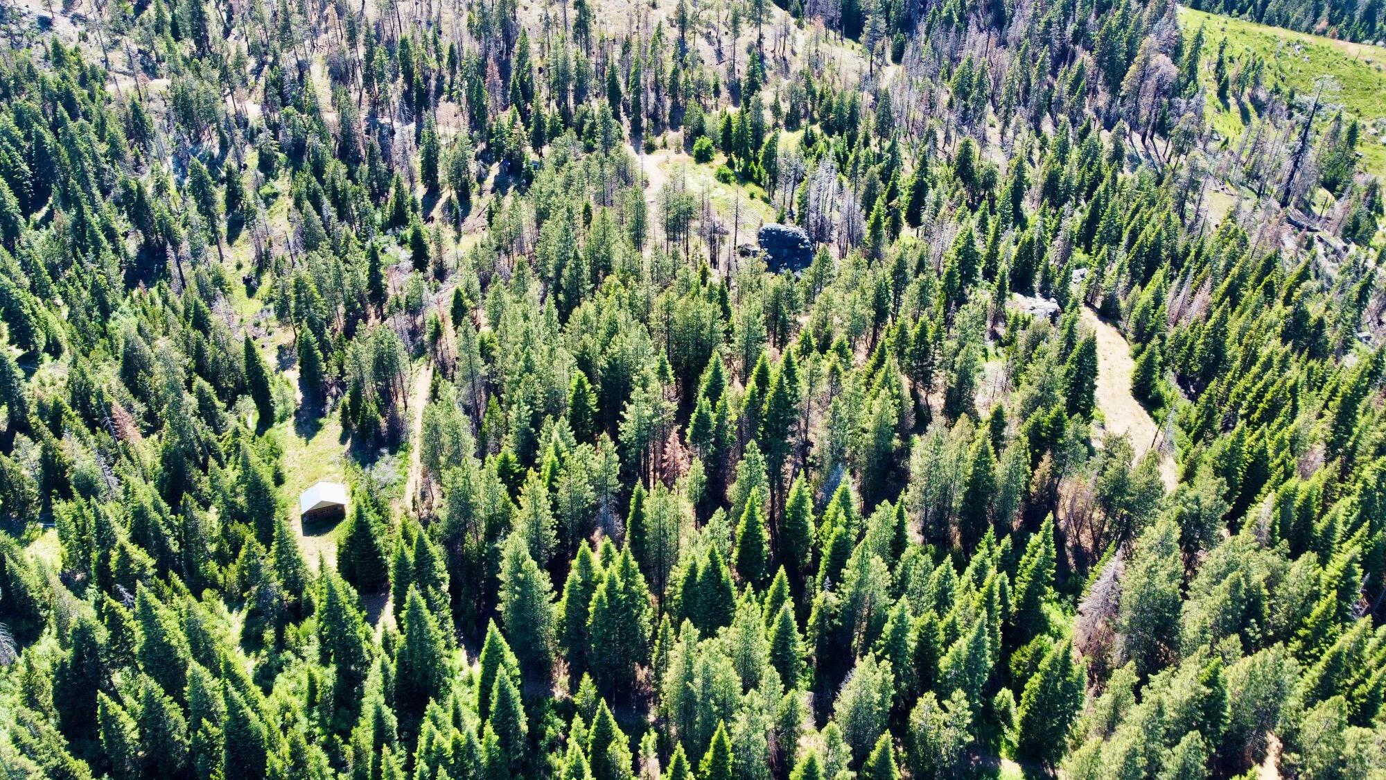 40 Acres Ammon Ridge Road