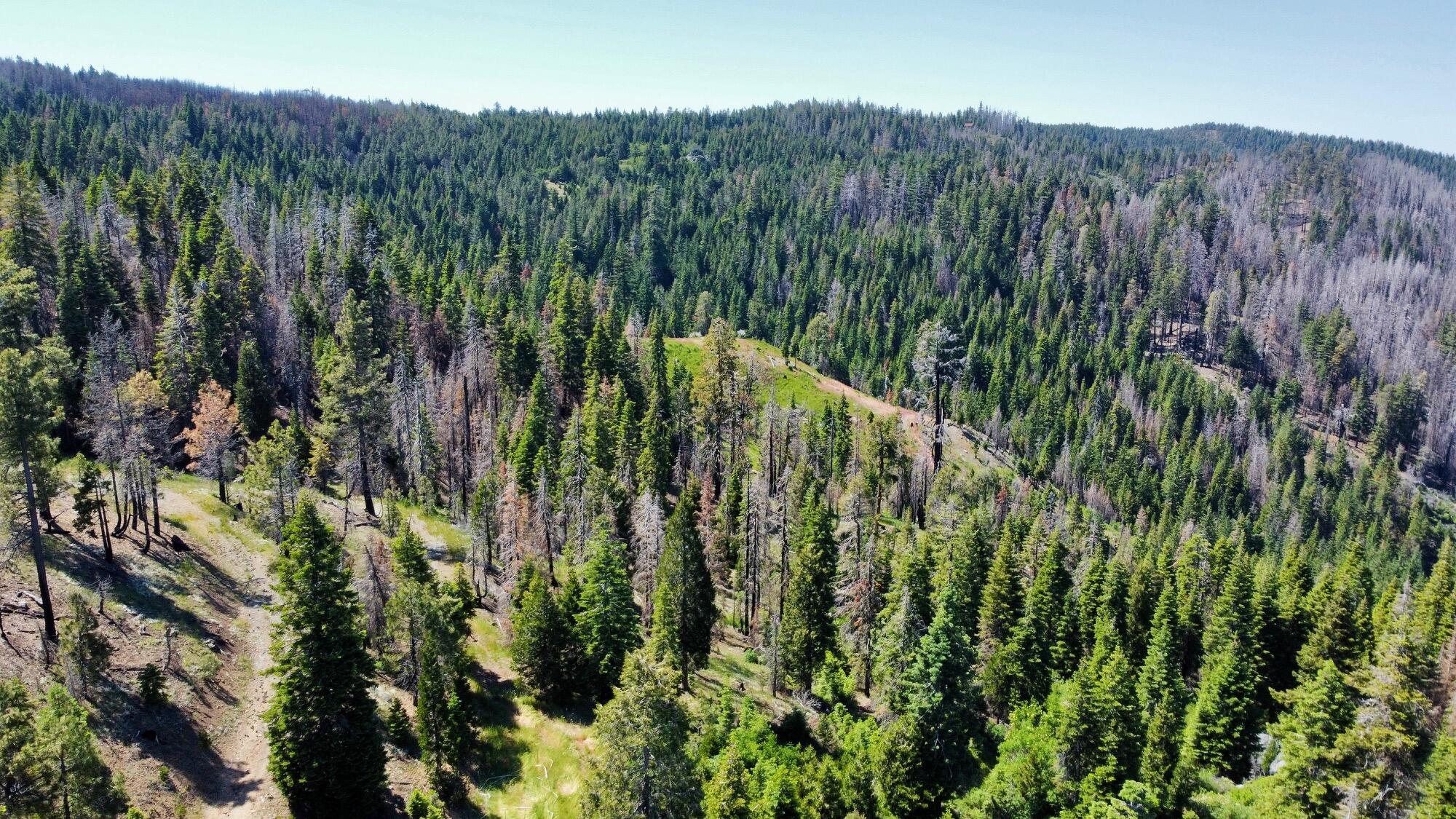 40 Acres Ammon Ridge Road