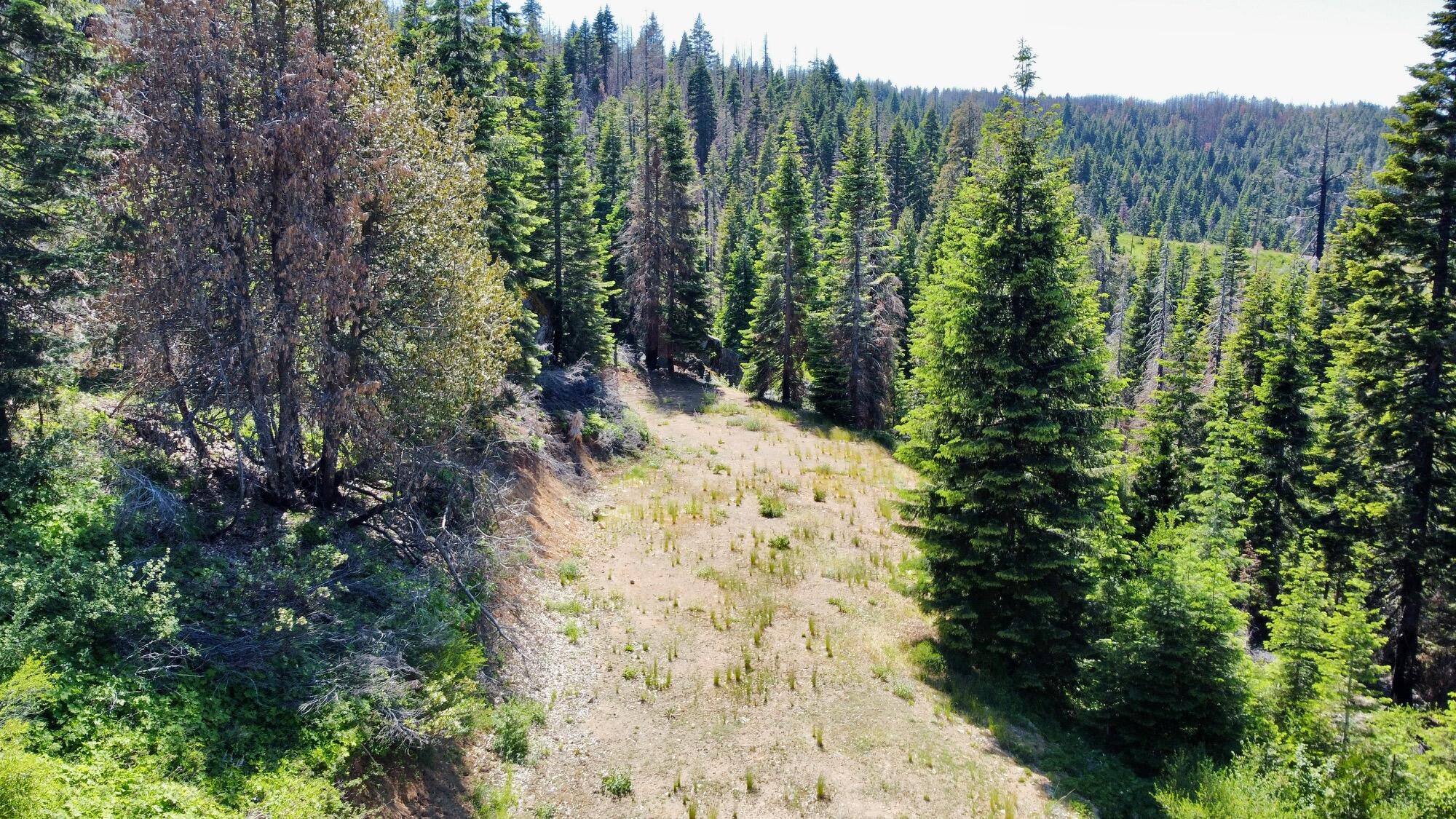40 Acres Ammon Ridge Road