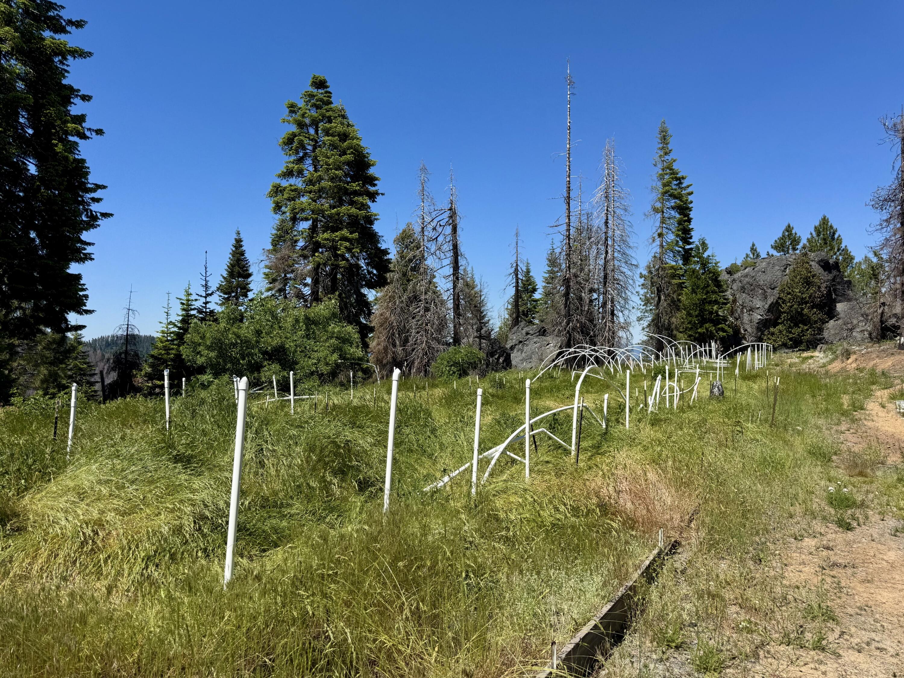 40 Acres Ammon Ridge Road