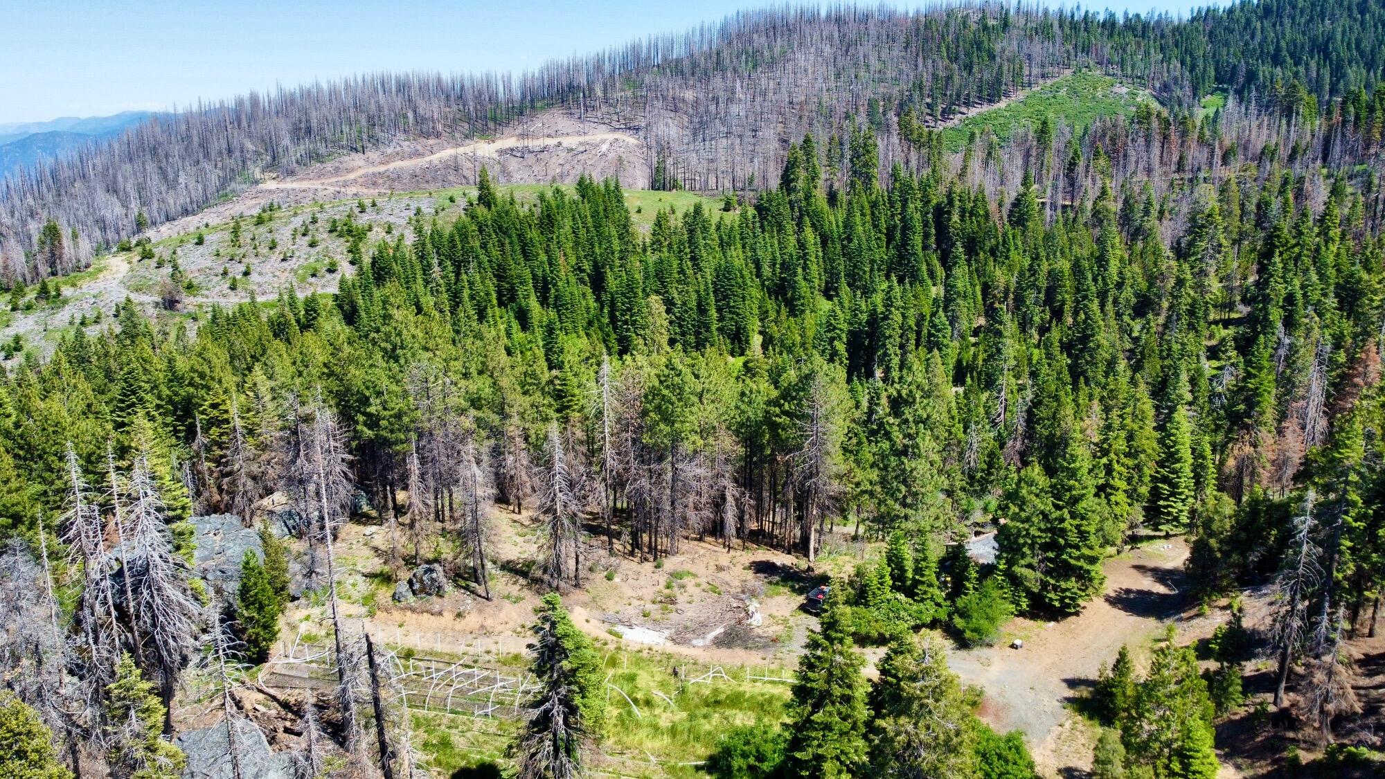 40 Acres Ammon Ridge Road