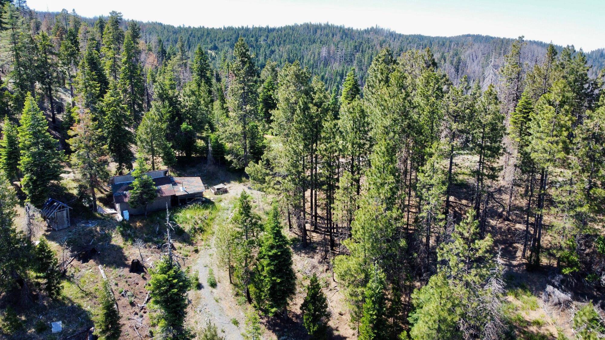 40 Acres Ammon Ridge Road