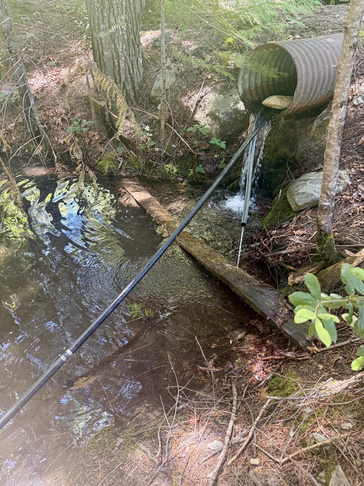 11000 Bluff Creek Trail
